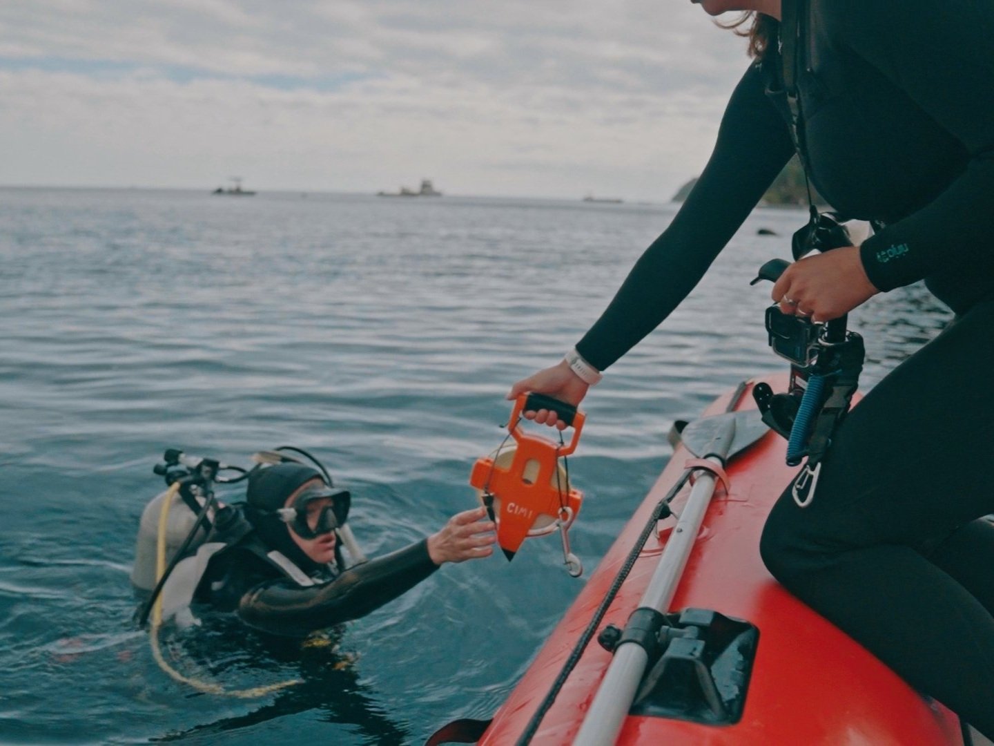 A diver is equipped with a measuring tape for conducting underwater monitoring surveys.