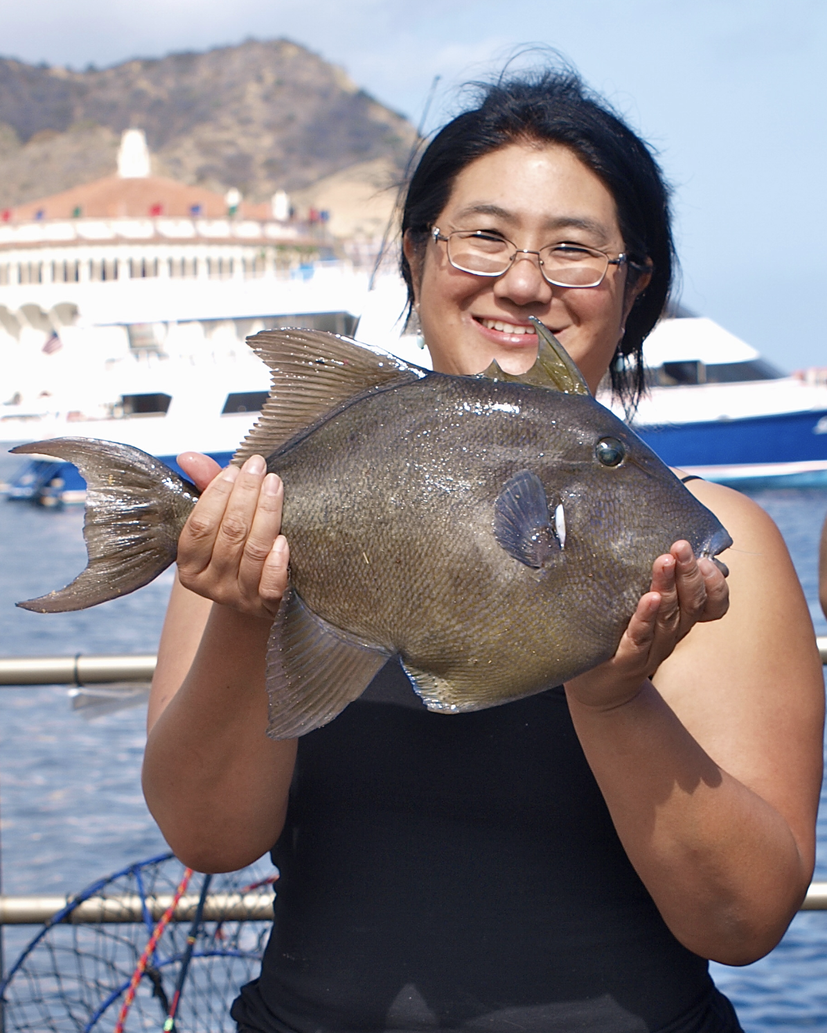 Why Is the Ocean So Warm Around Catalina Right Now?