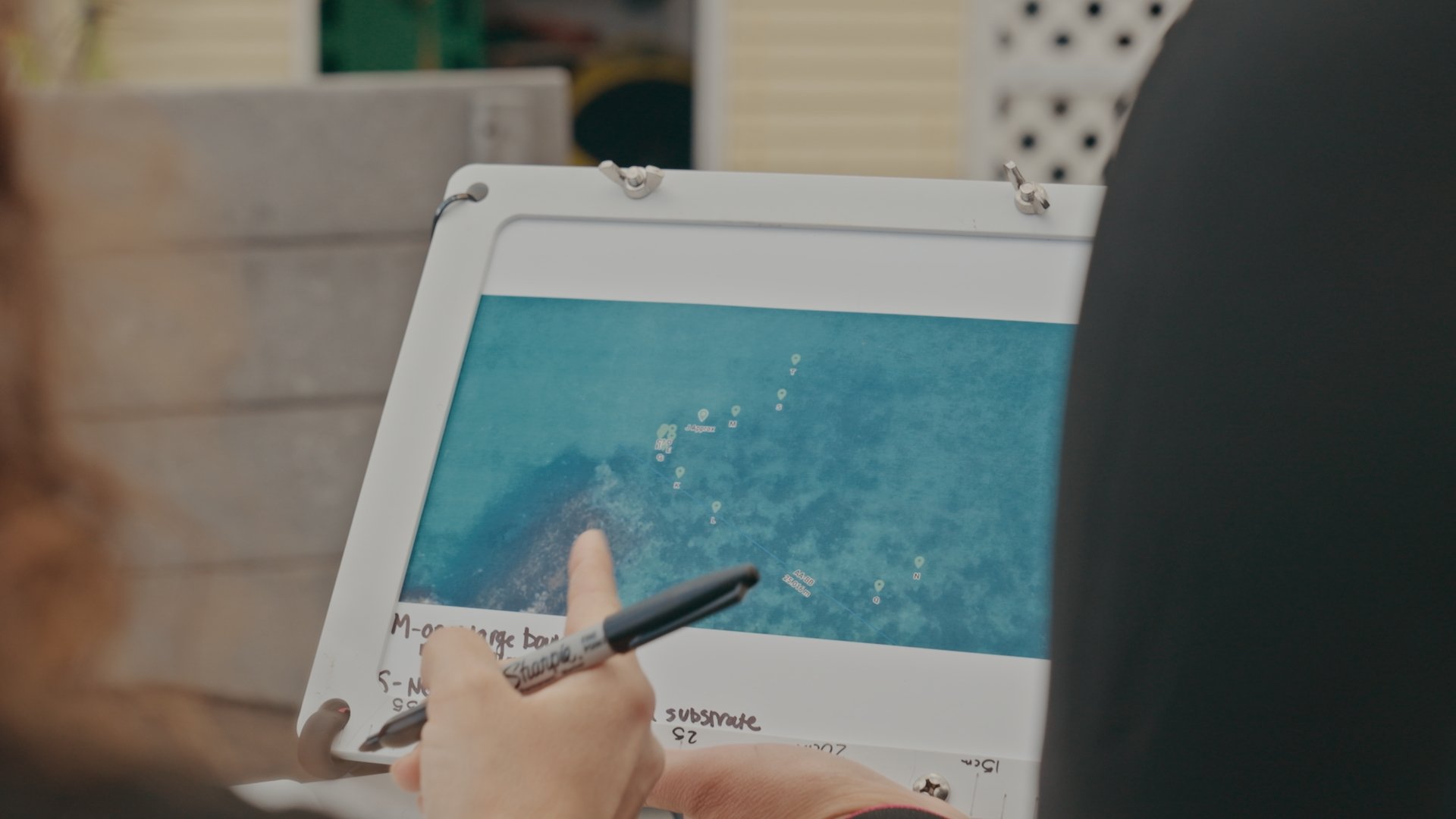 The team reviews aerial footage of a kelp restoration site.