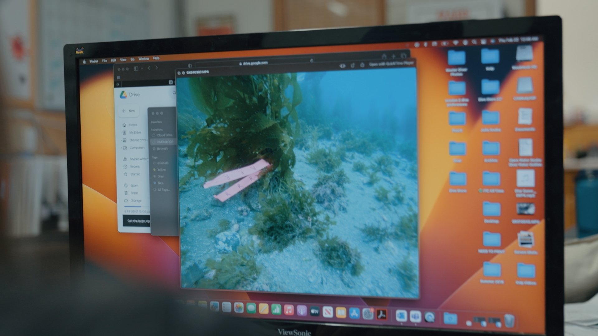The team reviews underwaters footage of a kelp recruit.