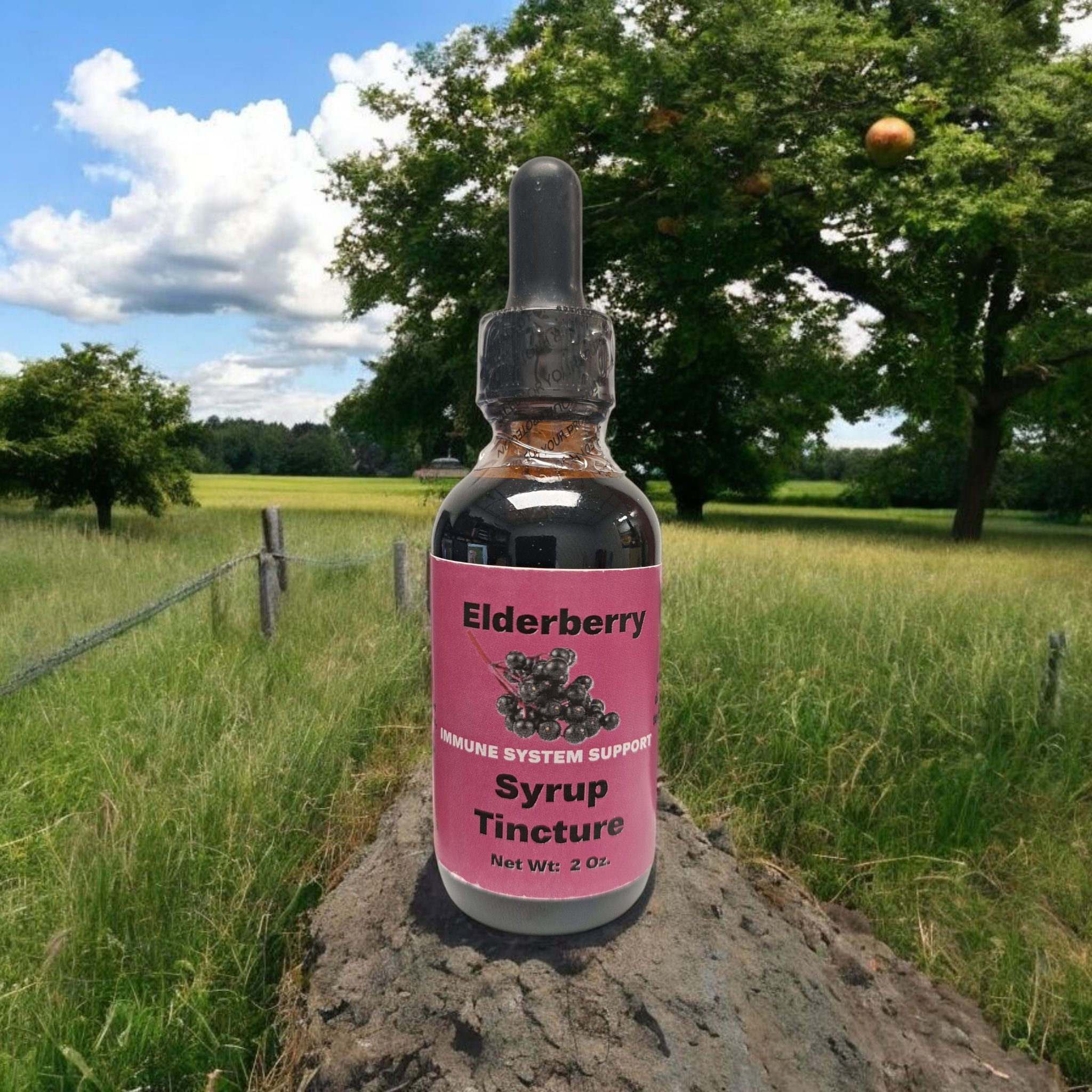 Elderberry Tonic Tincture