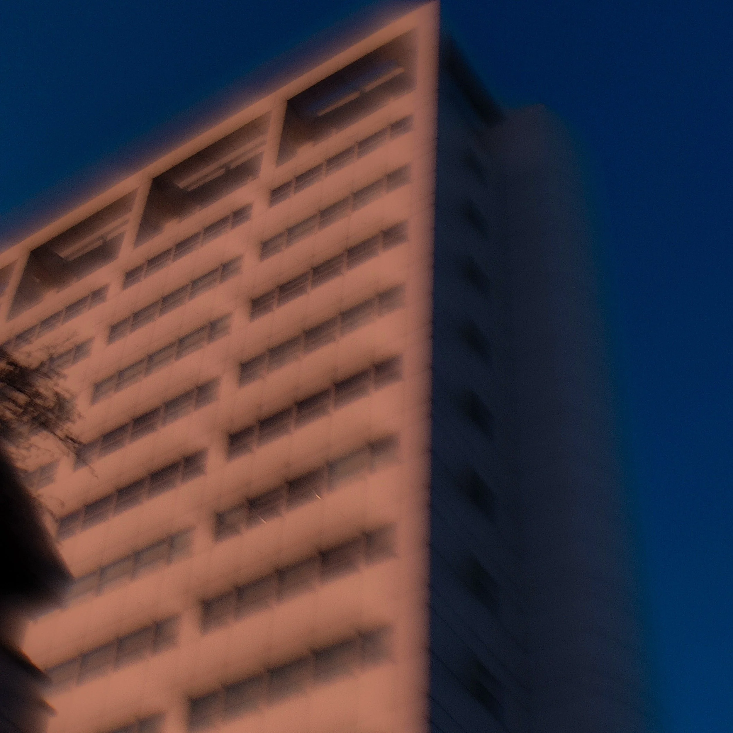 processed_IMG20230208161628 (1).jpg