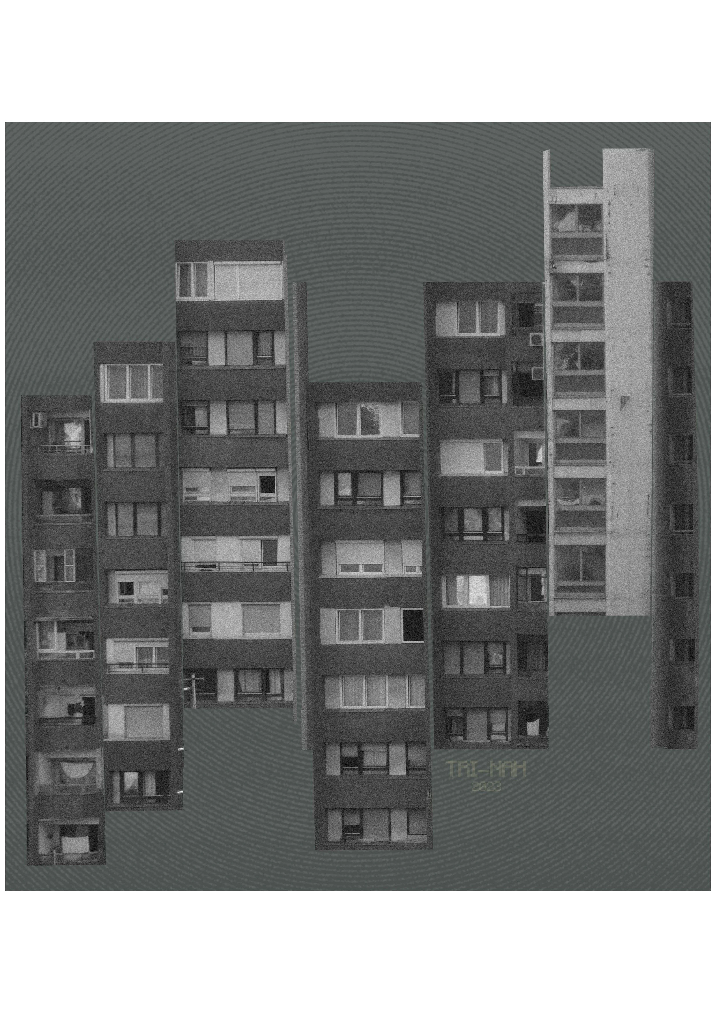 p1.jpg