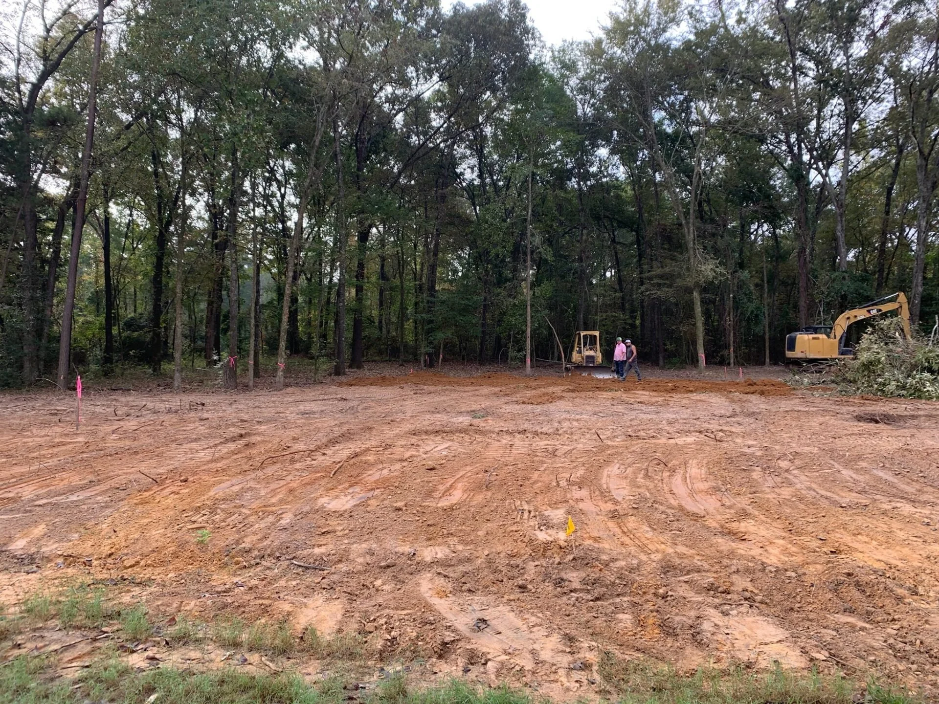 ClearedLand2021.jpg
