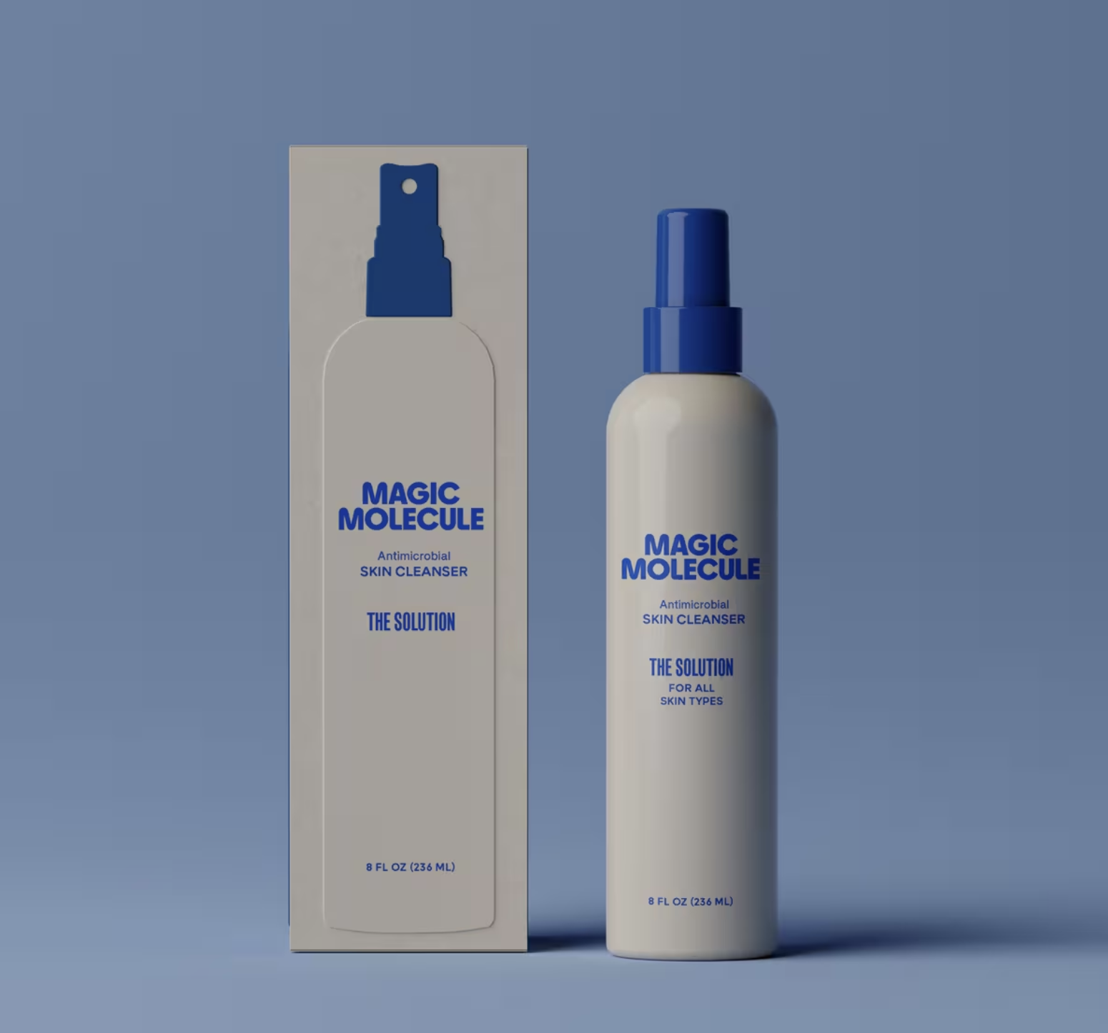 Screen Shot 2024-10-18 at 2.42.17 PM.png