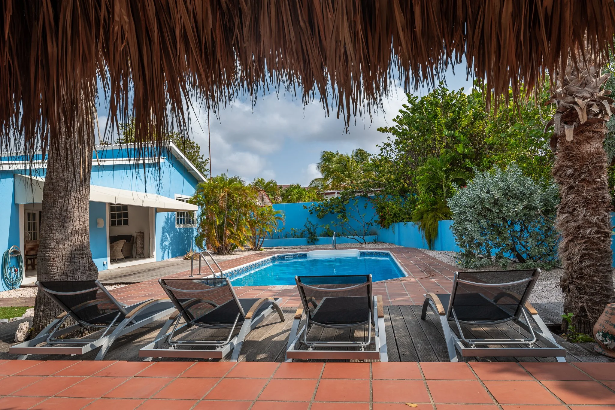 A backyard with a swimming pool, surrounded by palm trees and tropical plants, with three lounge chairs on a wooden deck in the foreground, and a blue house with white accents in the background.