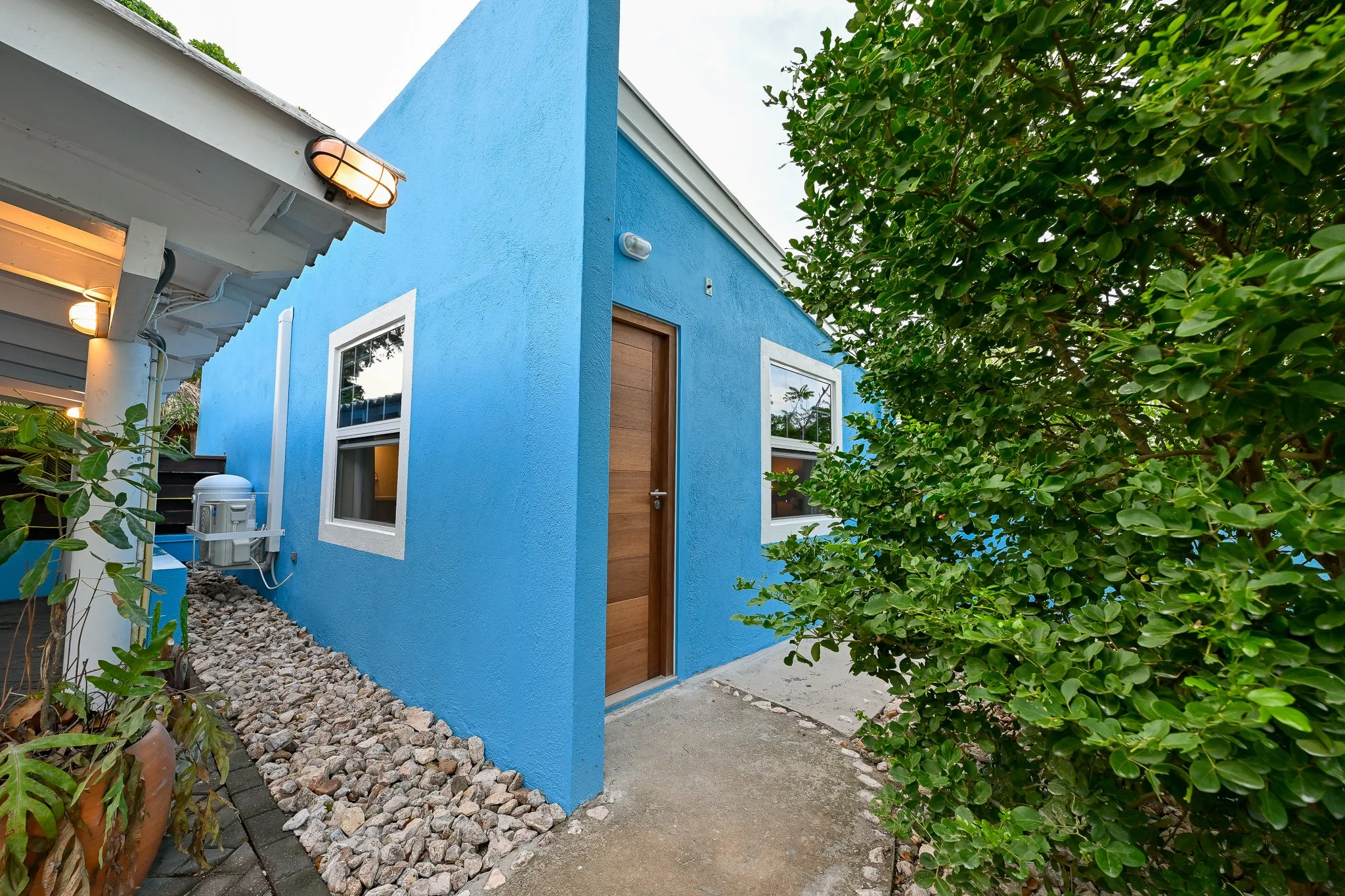 Kaya Kokada 12-2024__NZ81650.jpg