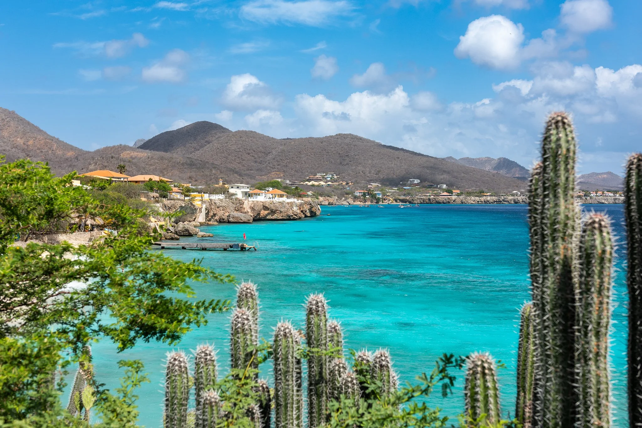 Tropical coastal scene with turquoise water, cacti in the foreground, rocky shoreline with houses, and hills in the background under a partly cloudy sky.