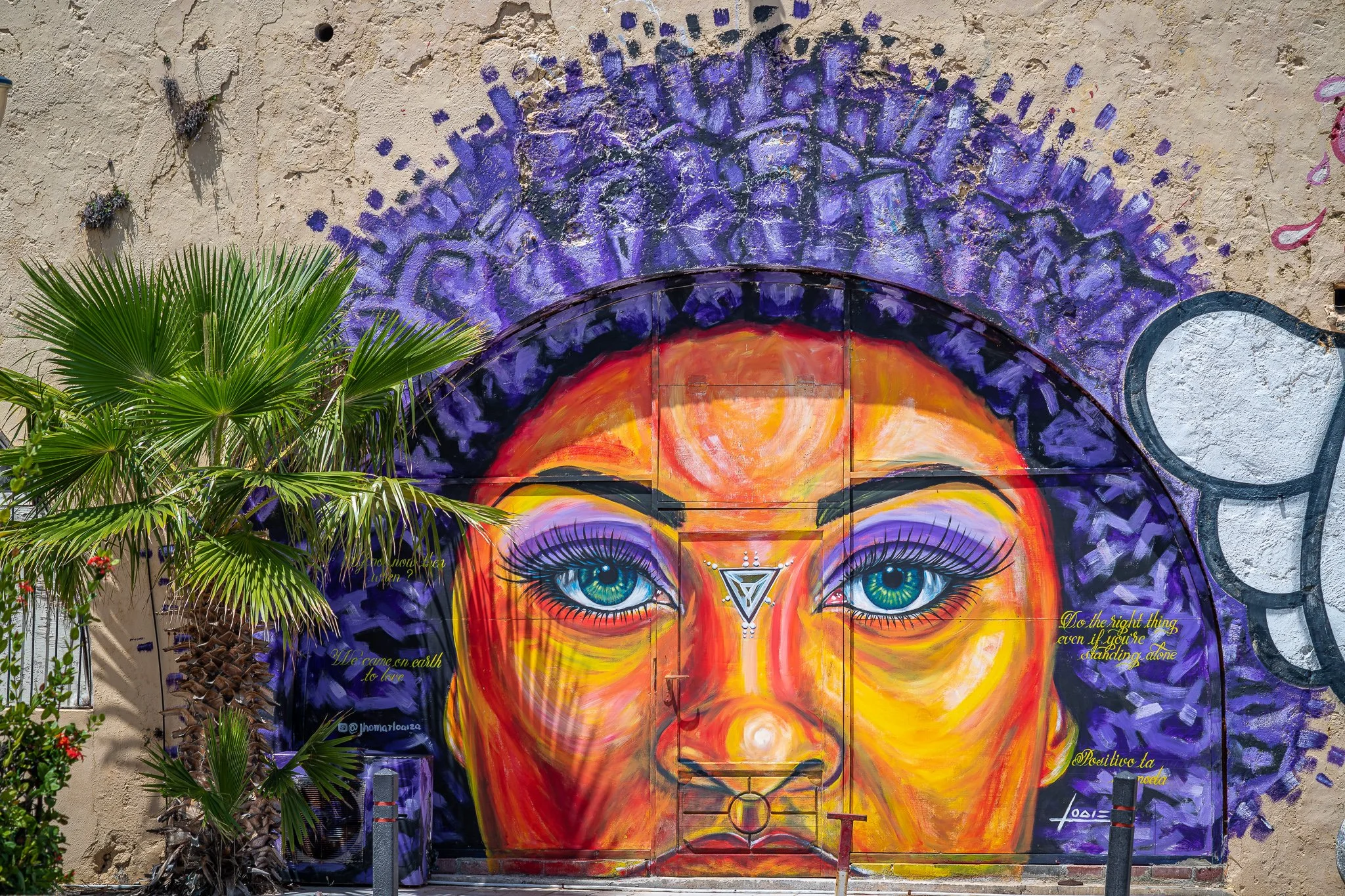 Colorful mural of a woman's face on a wall, featuring large blue-green eyes, vibrant orange and purple tones, with decorative symbols and texts surrounding the face, partially obscured by a green palm tree in the foreground.