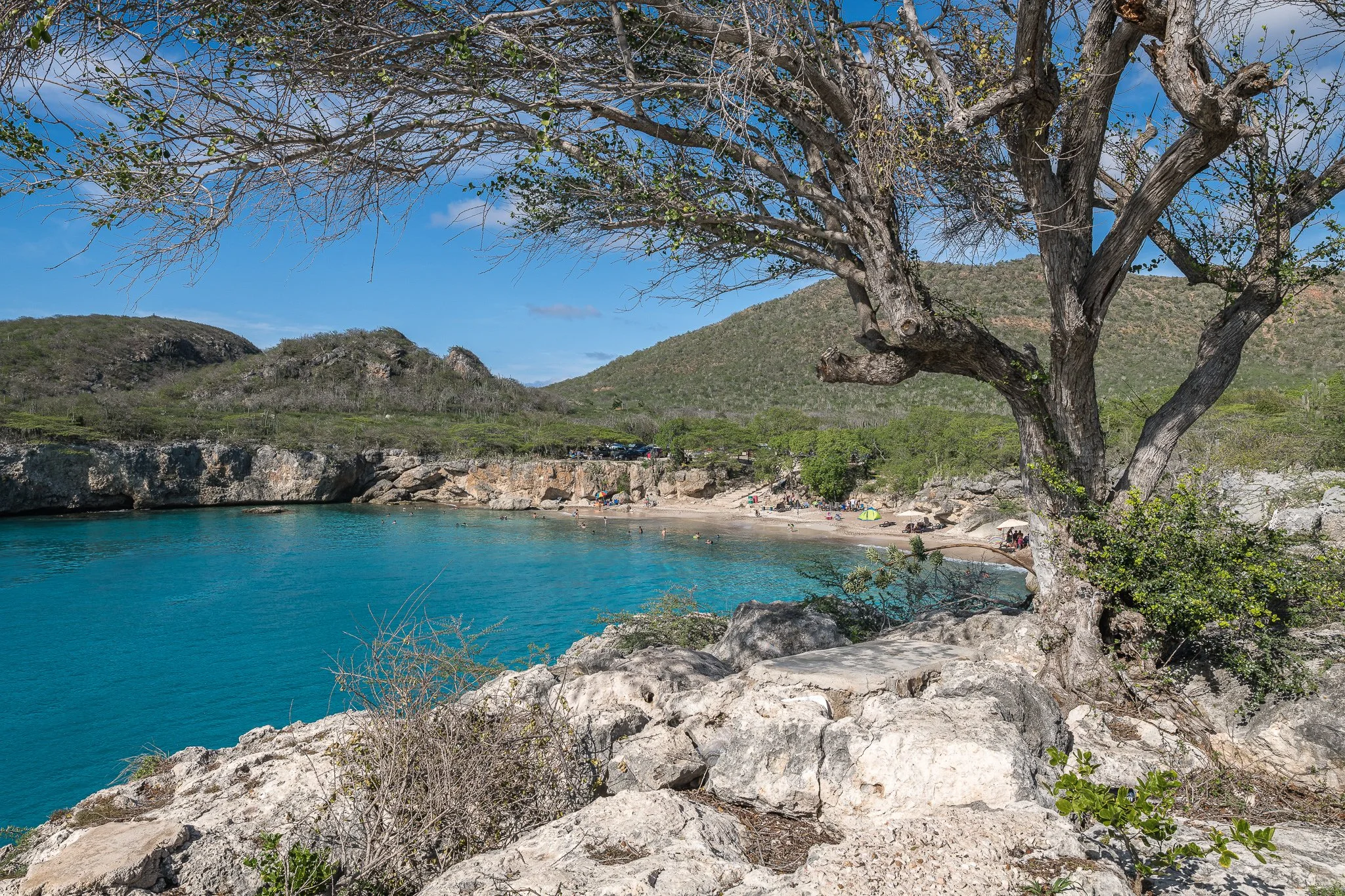 A scenic view of a cove with turquoise water, surrounded by rocky cliffs and hills. A large tree with spreading branches is in the foreground on the rocky shore. Small groups of people are on the sandy beach, some under umbrellas, enjoying a sunny day.