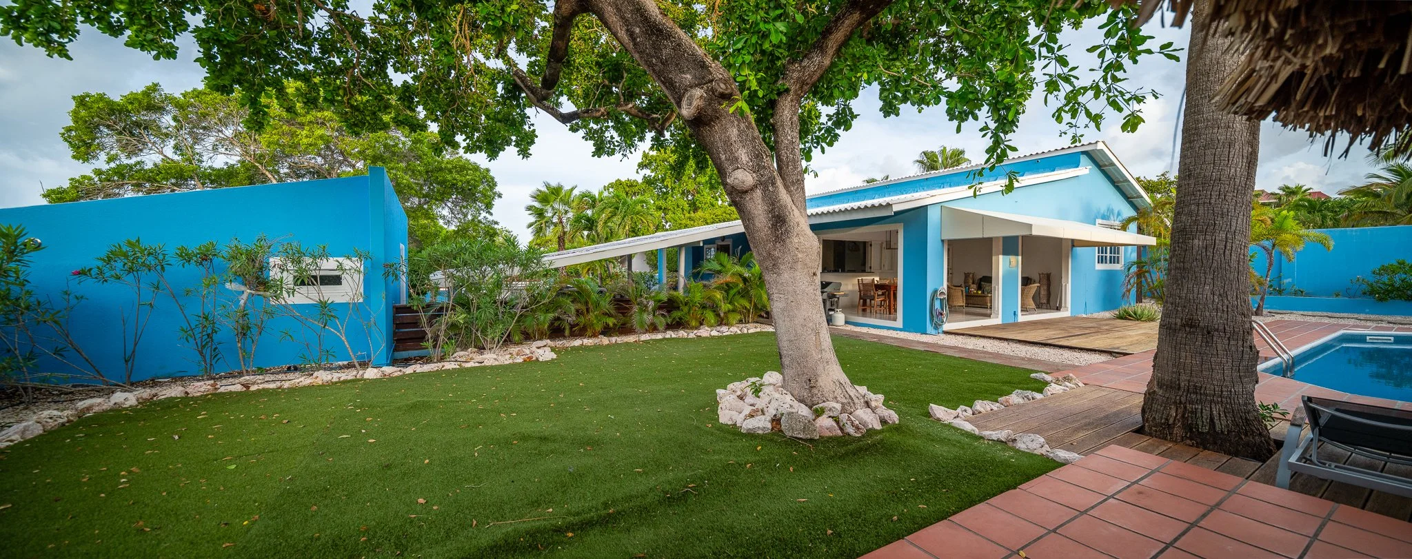 Kaya Kokada 12-2024__NZ81666-Pano.jpg