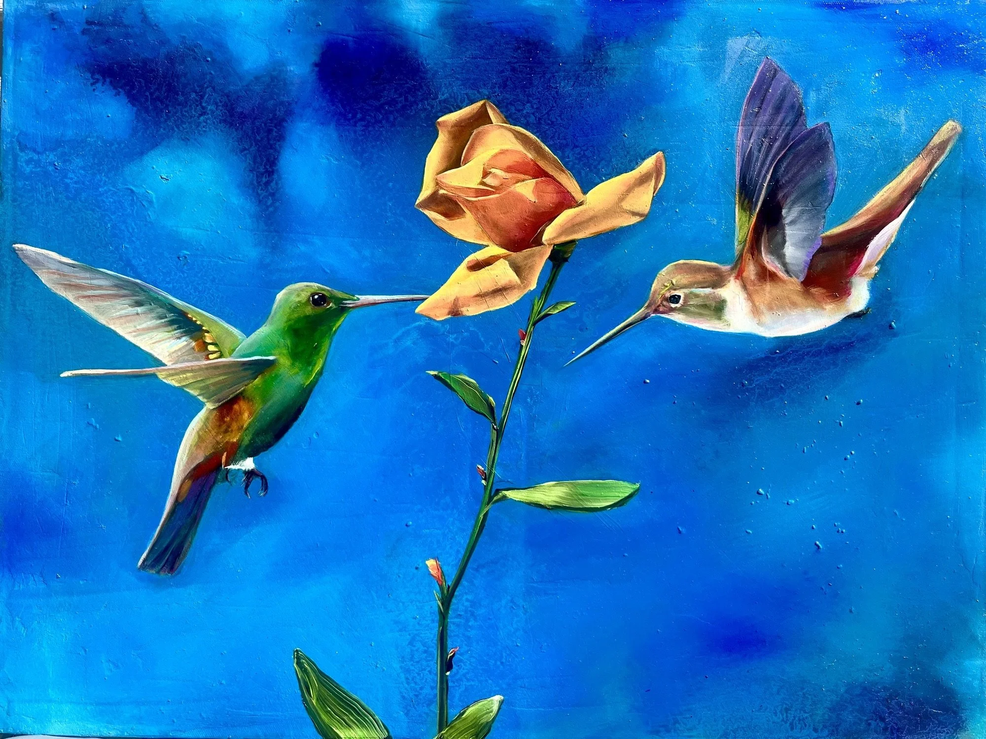 Where Wings Meet 2026.jpeg