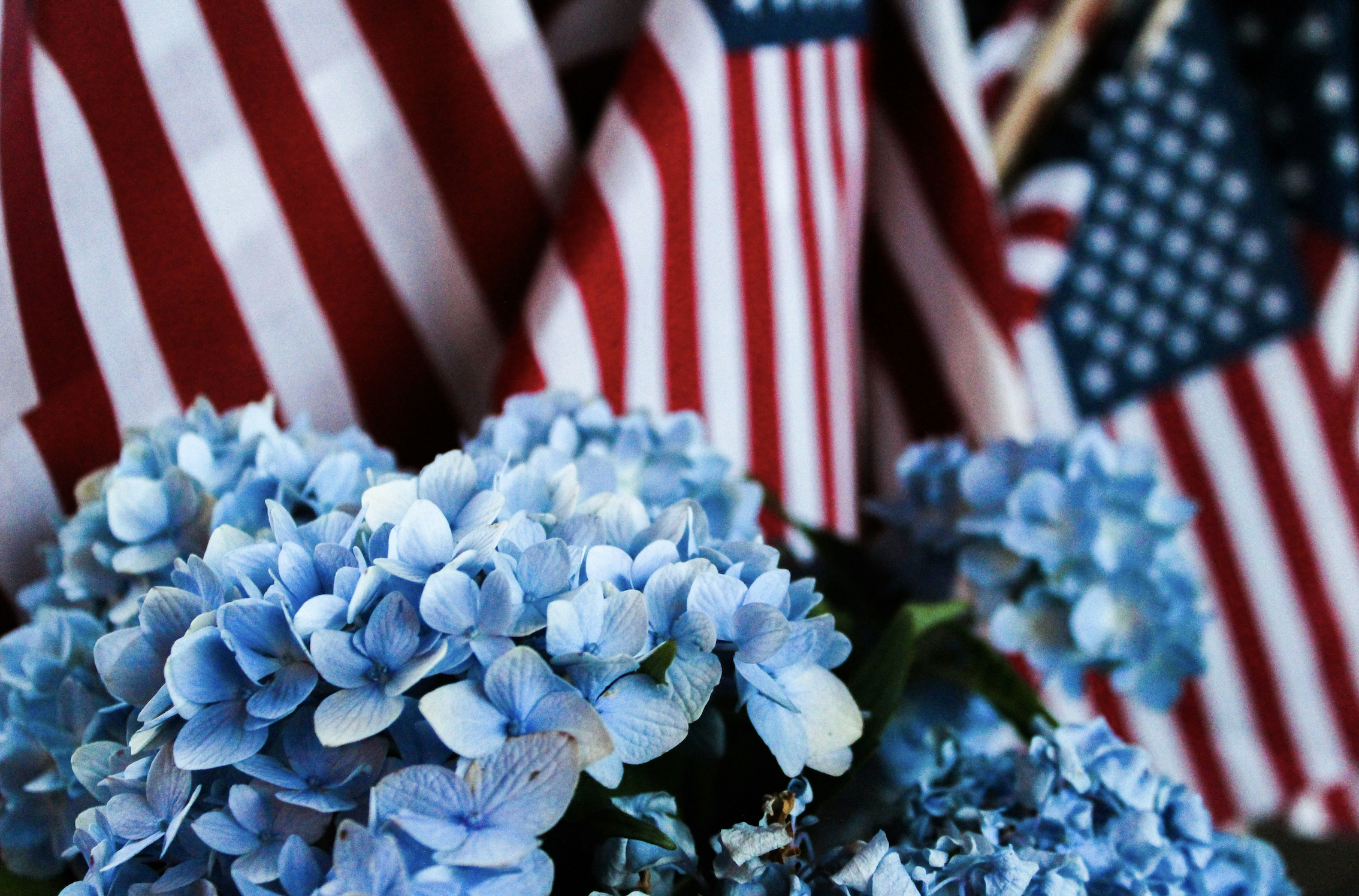 Best Places to Celebrate the Fourth of July 2026 in Miami