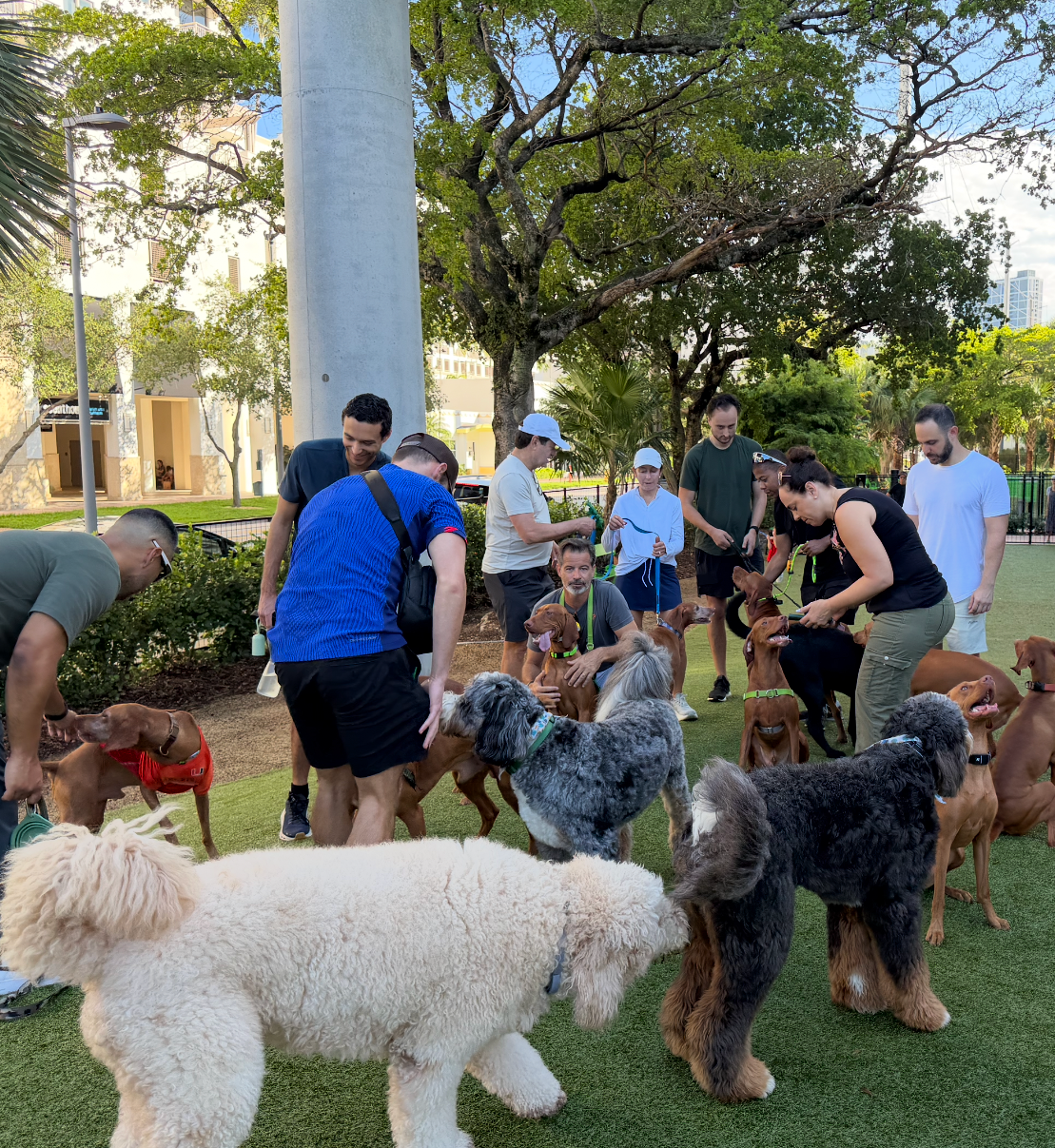 The Best Dog Parks in Pinecrest, Coral Gables &amp; Coconut Grove