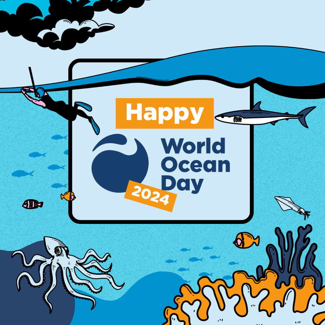 Businesses Have a Role to Play to Support Ocean’s Health
