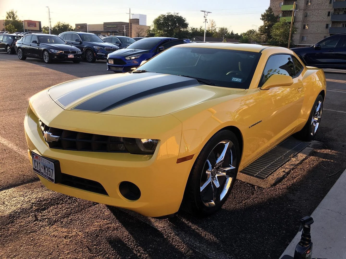 Gold Full Detail  - 