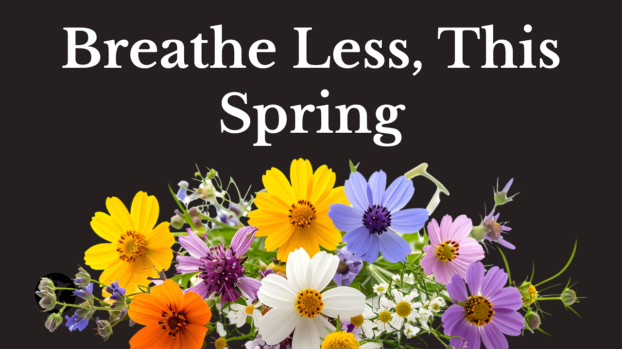 Breathe Less This Spring