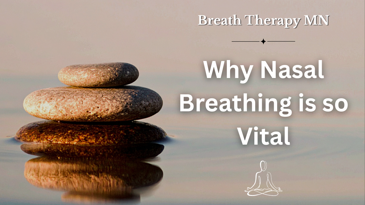 Why It Is So Vital to Breathe Through Your Nose