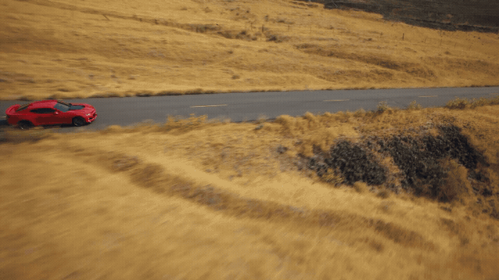 Bridgestone / Firestone