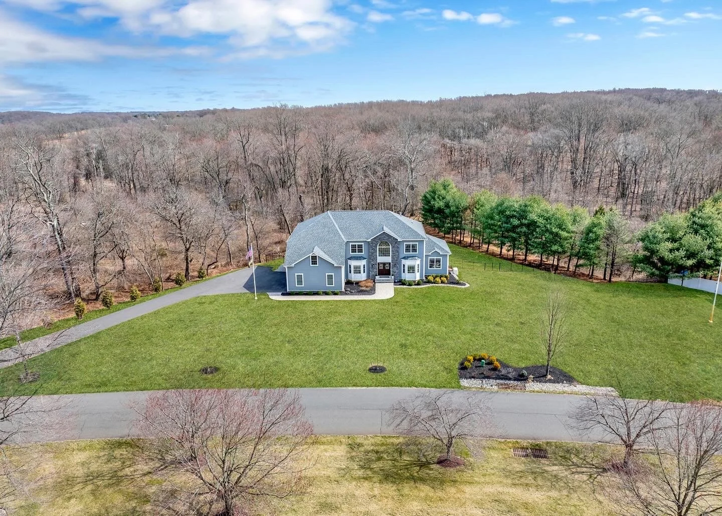 Drone Photography with Grass Replacement