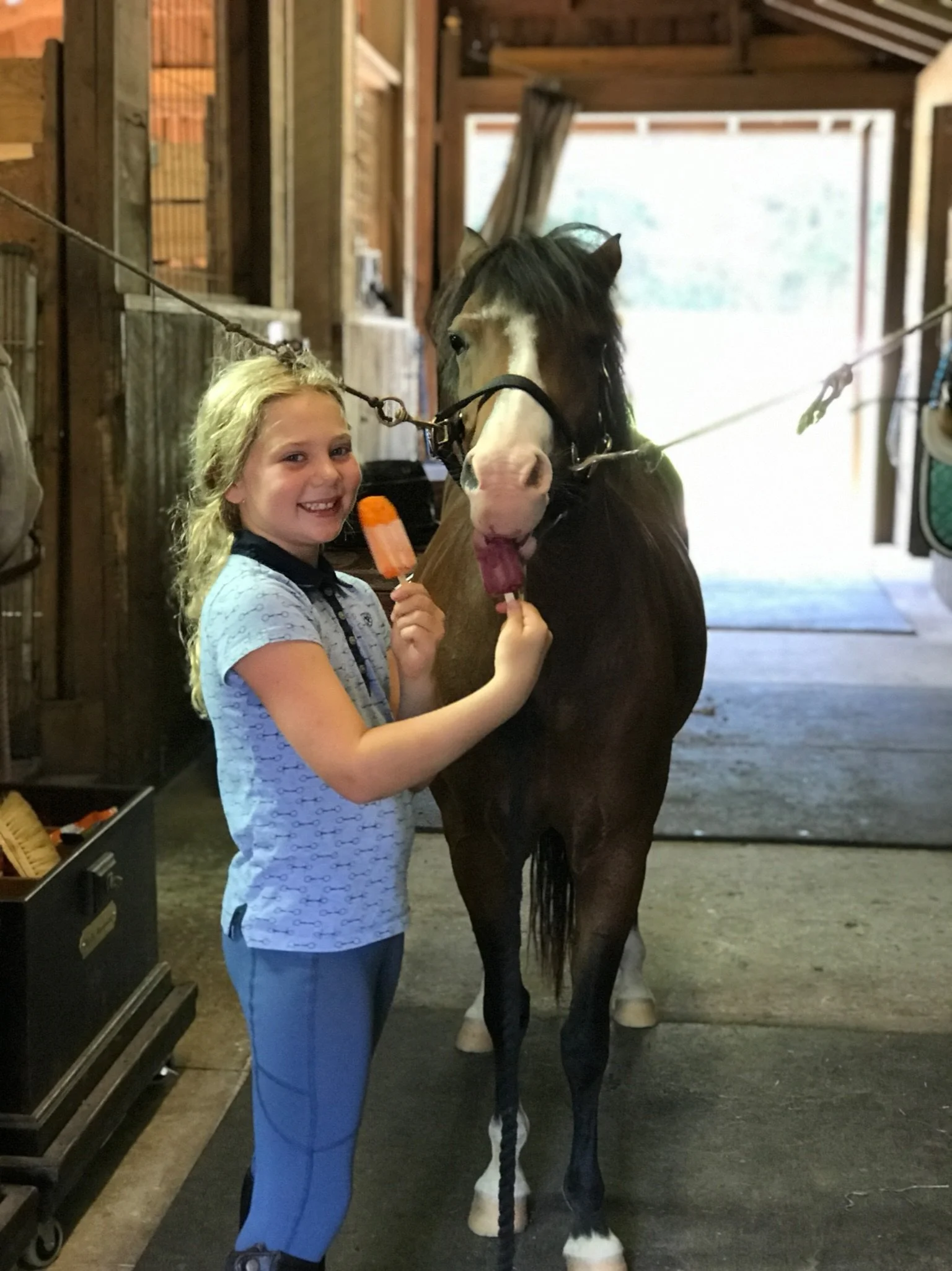 Photo Jul 29 2019, 9 23 37 AM.jpg