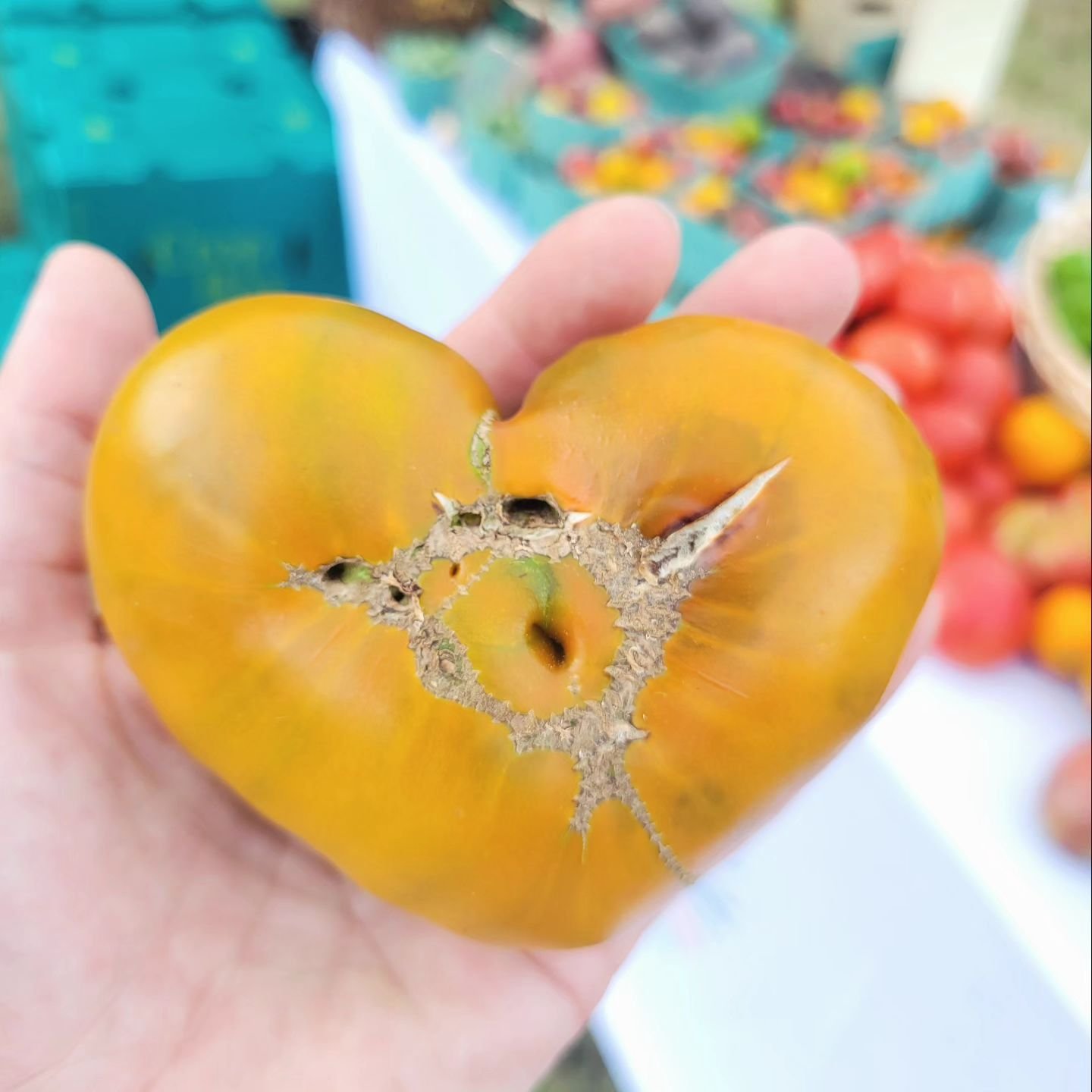 I love you from my head tomatoes.
Hot tomato summer kicks off next Thursday, July 18th - stay tuned, we got updates coming your way!