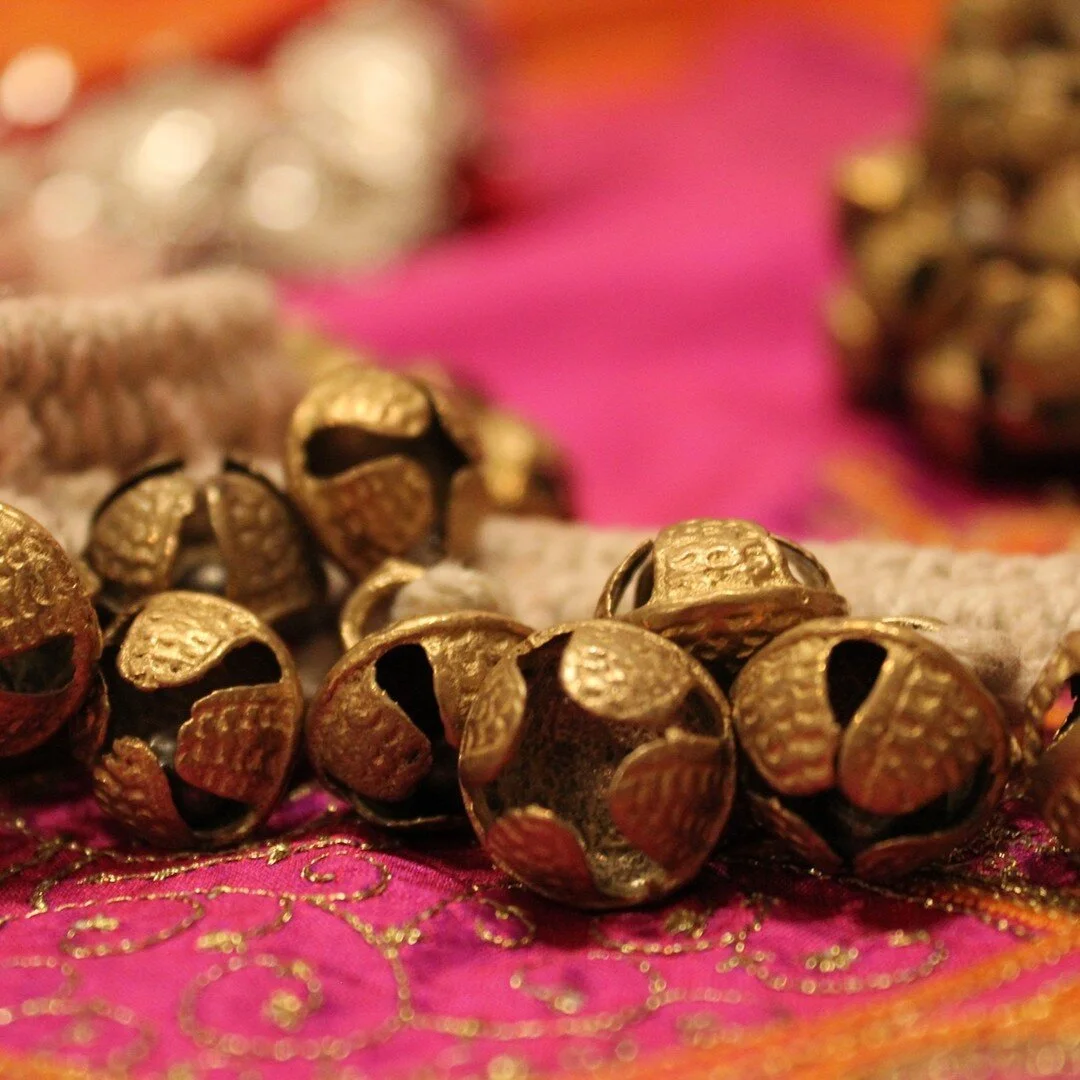 WEBSITE UPDATES COMING SOON!
www.odissina.org

Community Calendar
Stay tuned for a new resource on OANA's website - a North American community calendar! If you plan on hosting an Odissi related event and want to get the word out, this feature will al