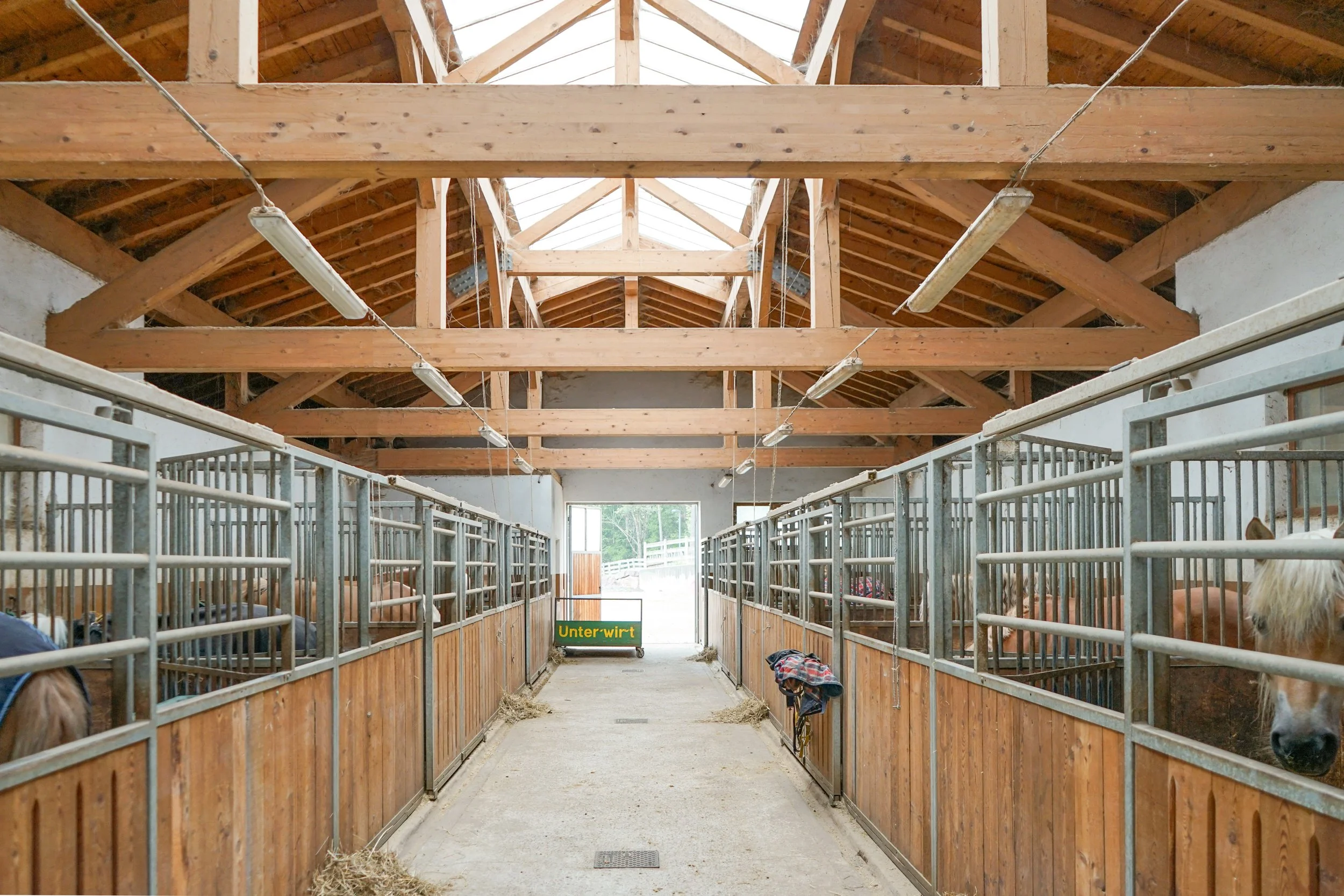 Haflinger Unterwirt - Haflinger Zucht Stall