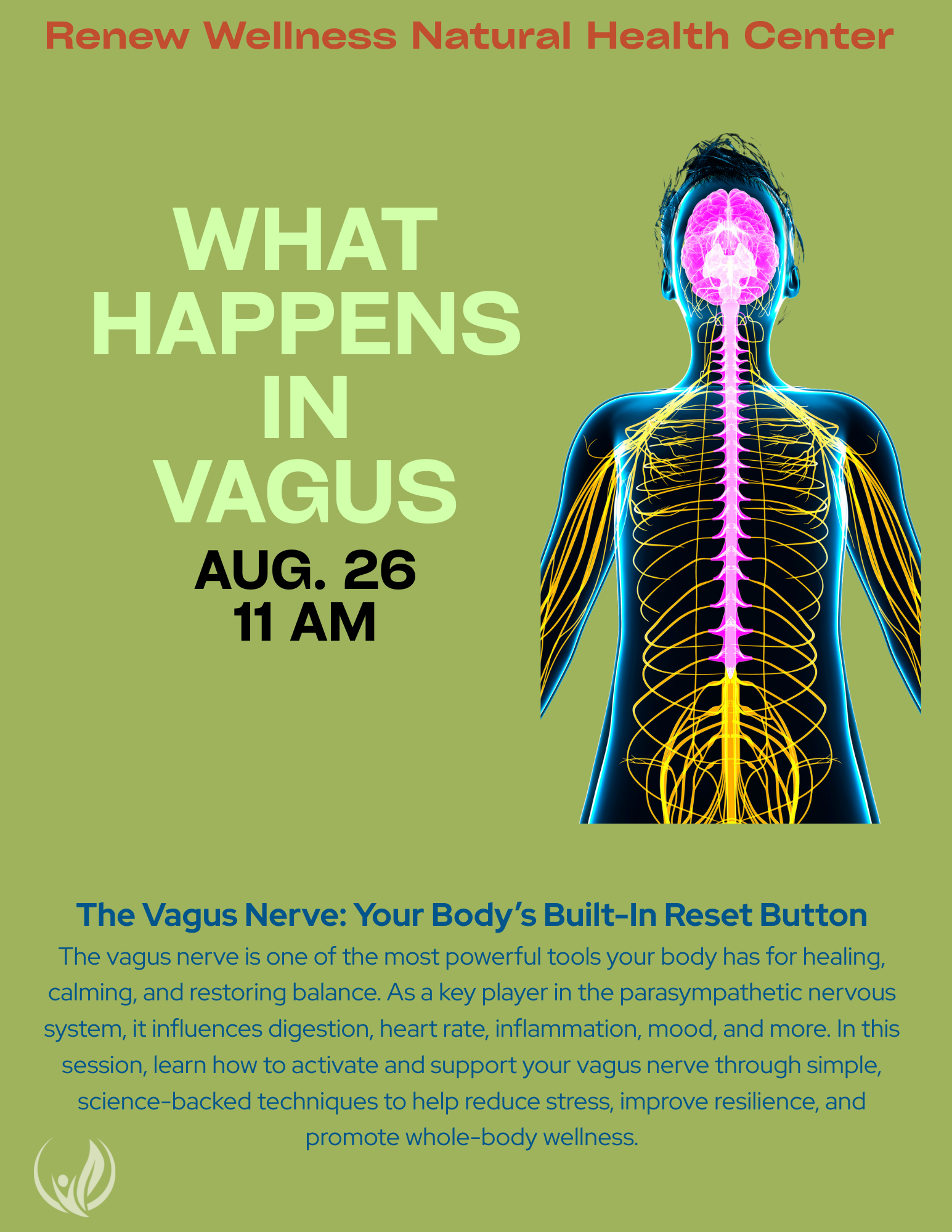 What Happens in Vagus