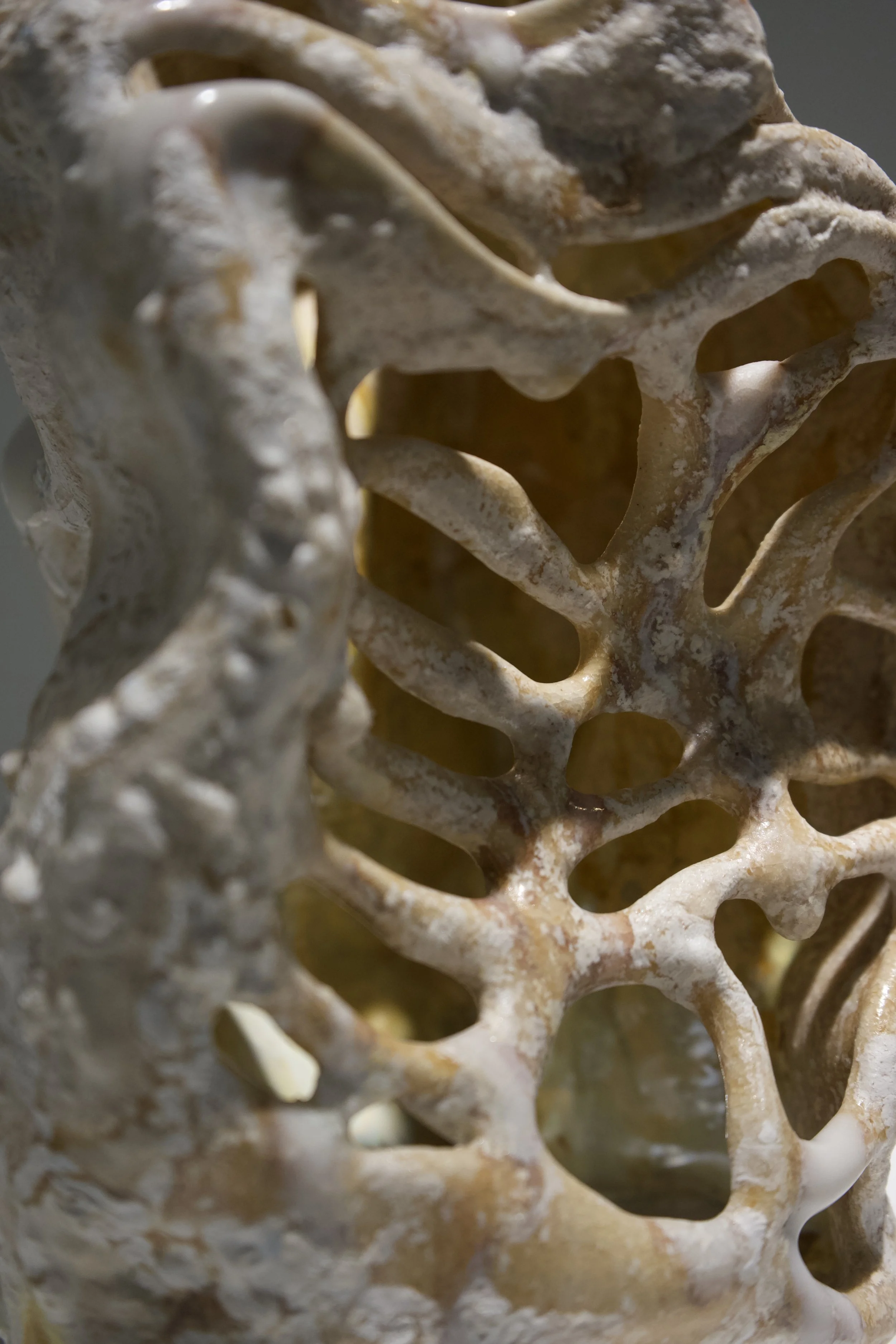 Substrata_detail 1.jpeg