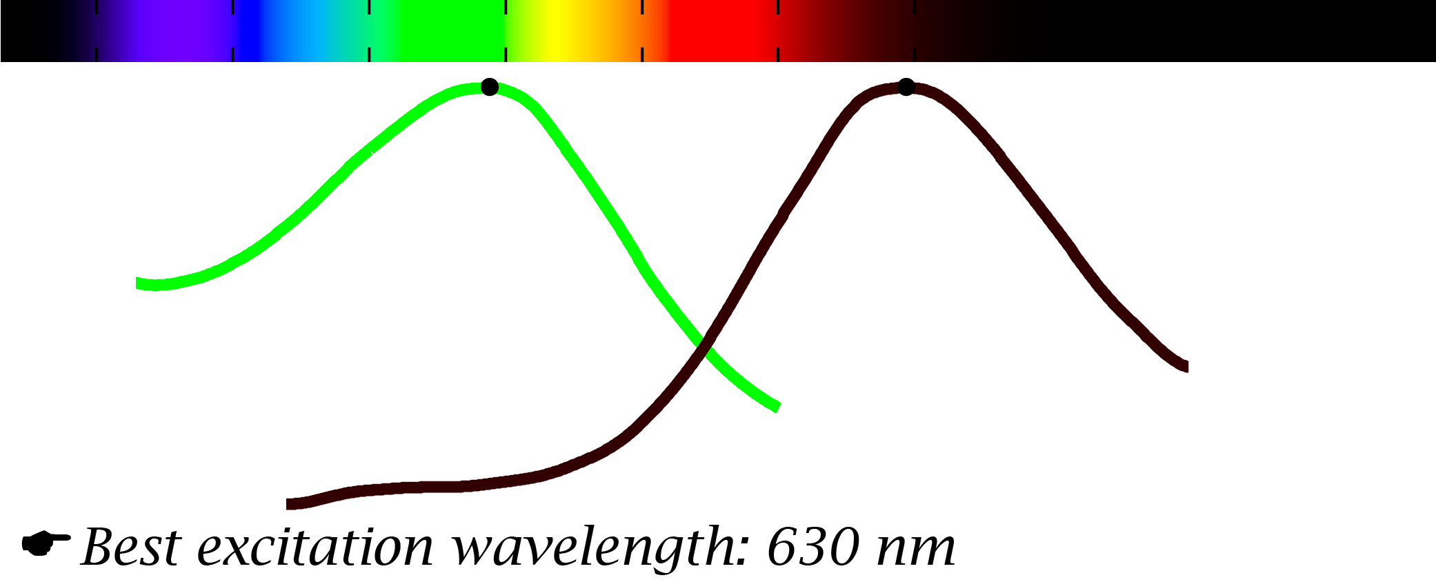 ElectroFluor630™