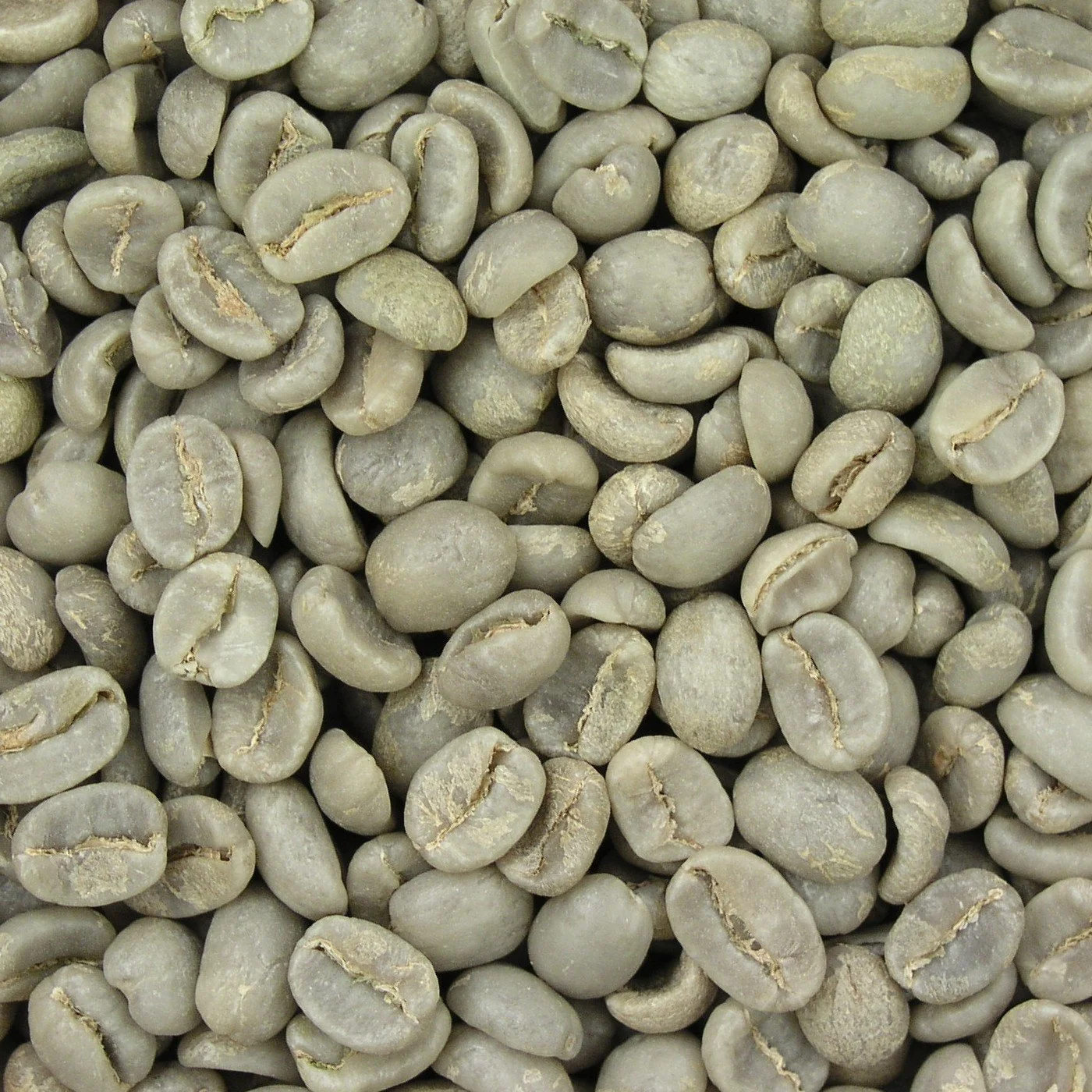 Green Coffee – 19 lb Wholesale Box