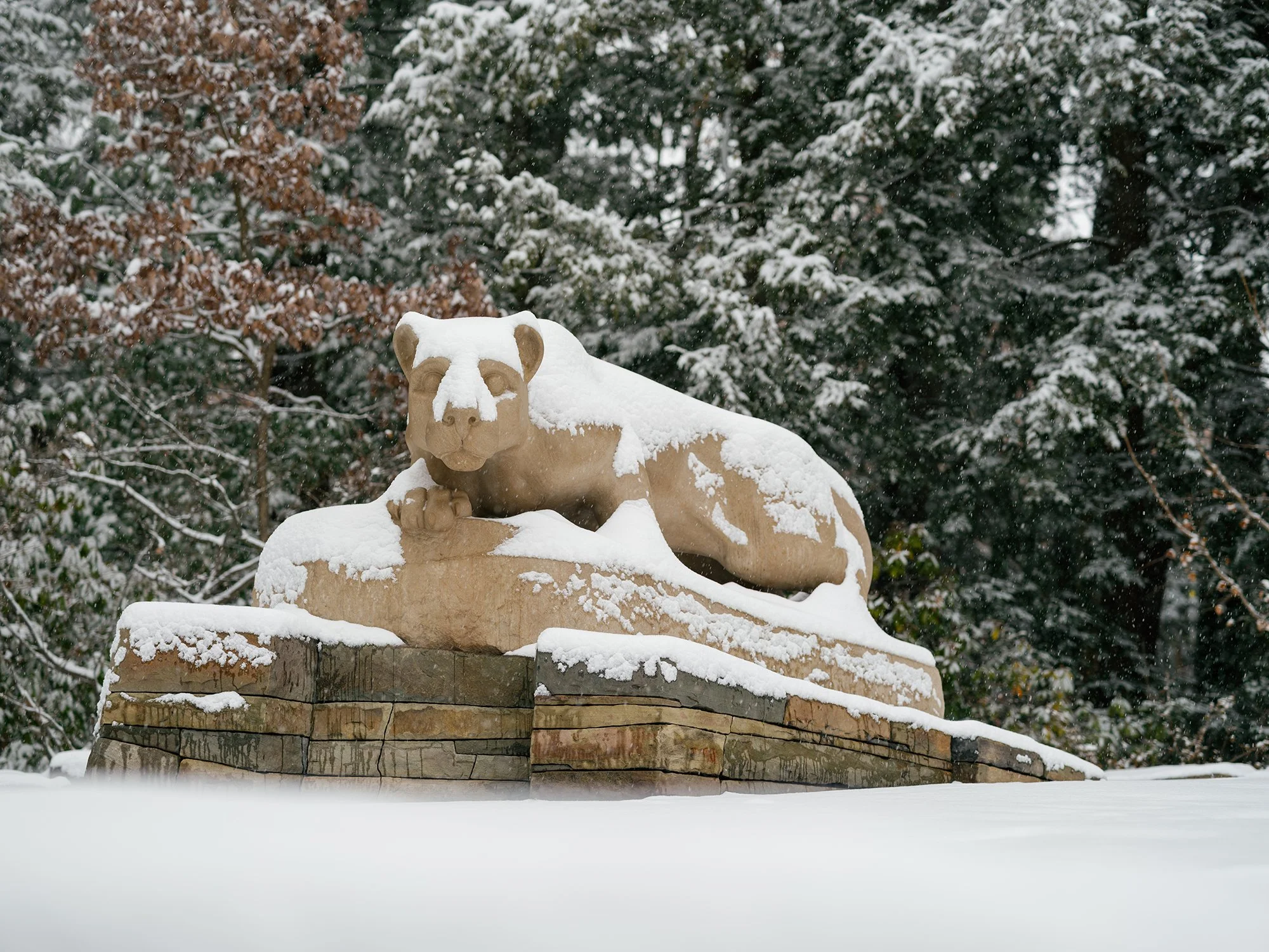 2025-PSU-UniversityPark-469 copy.jpg