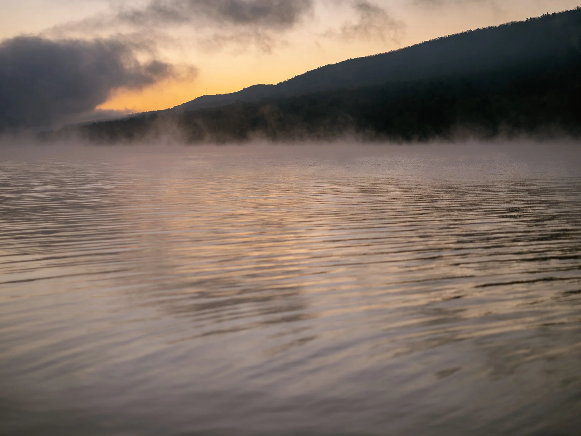 Bald Eagle State Park, Pennsylvania