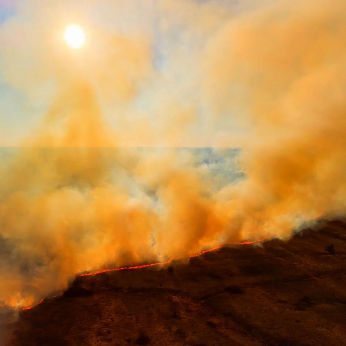 Rekindling Purpose Through Fog and Flame