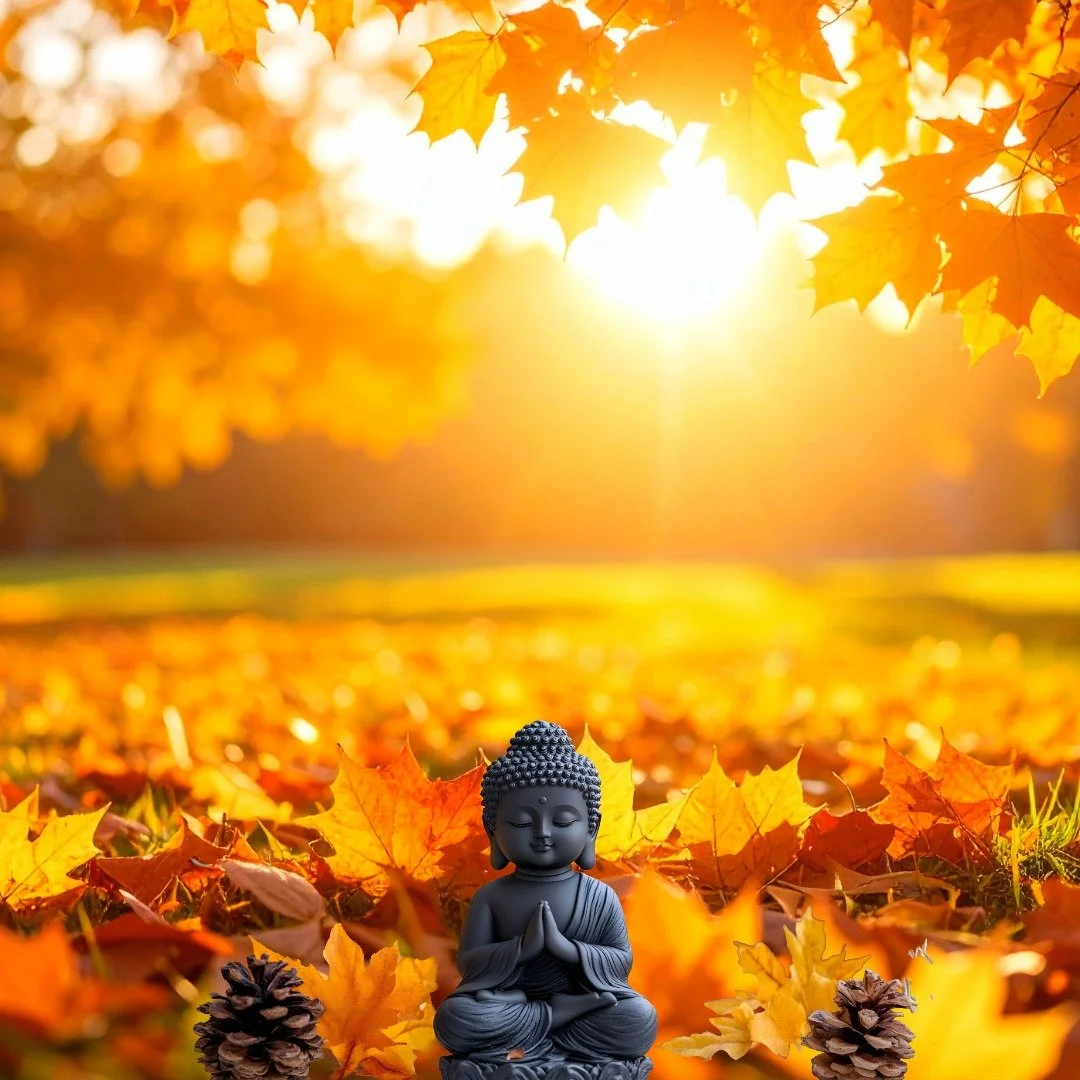 Fall Wellness: Embrace Seasonal Nourishment with Holistic and Ayurvedic Wisdom