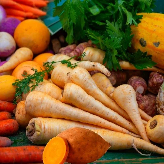 winter roots vegetables.jpeg