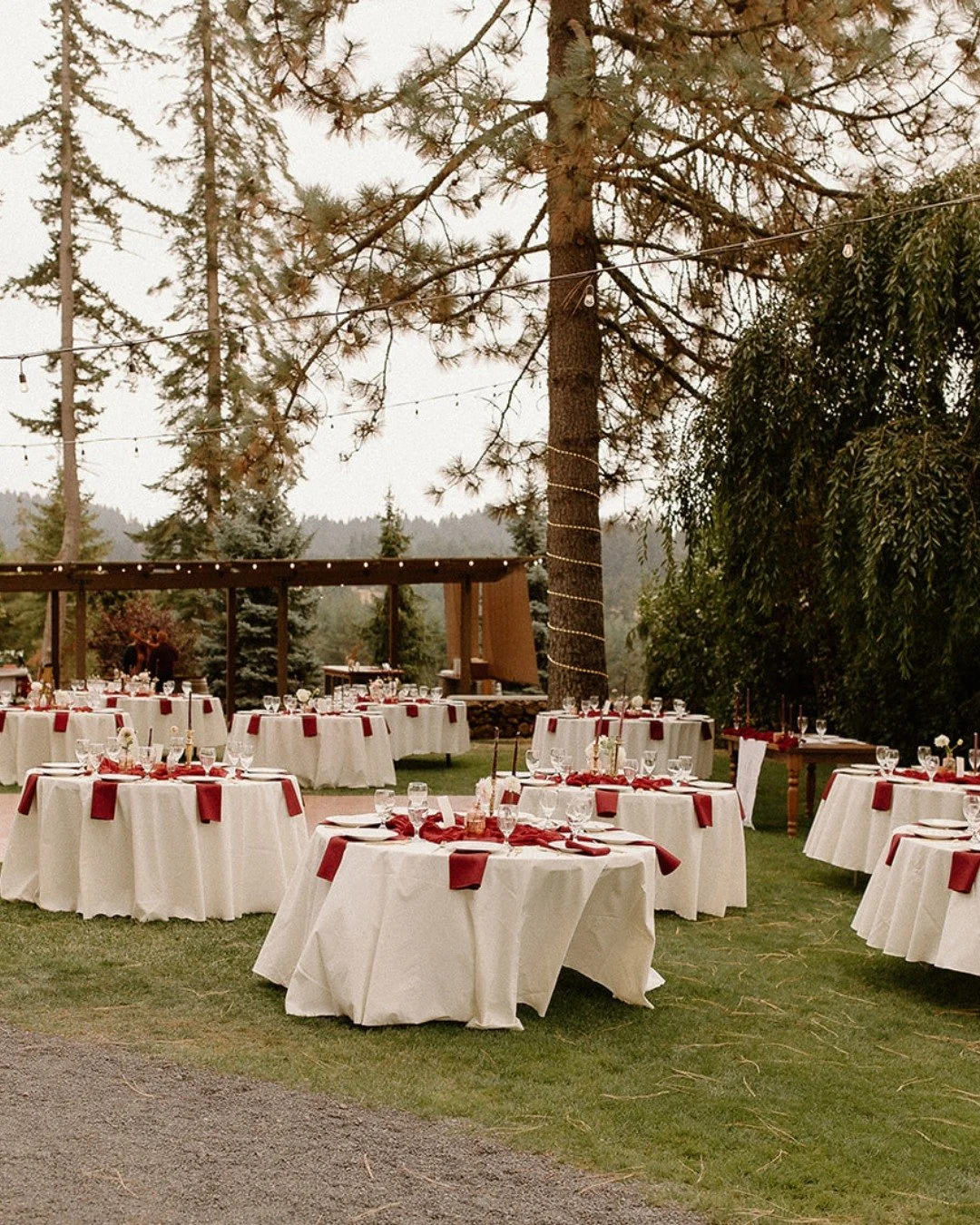 The best wedding days feel seamless, calm, intentional, and full of joy.

Our packages are designed to create a smooth experience from start to finish, guiding the flow of your day while leaving room for personal touches and unforgettable moments.

W