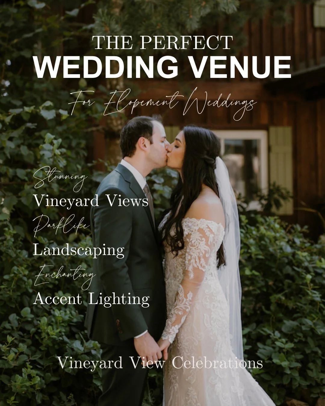 A Garden Wedding allows you to slow down, focus on the moment, and celebrate surrounded by natural beauty. Think open-air ceremonies, vineyard views, and a relaxed atmosphere where the setting itself creates the beauty of the day.

At Vineyard View C