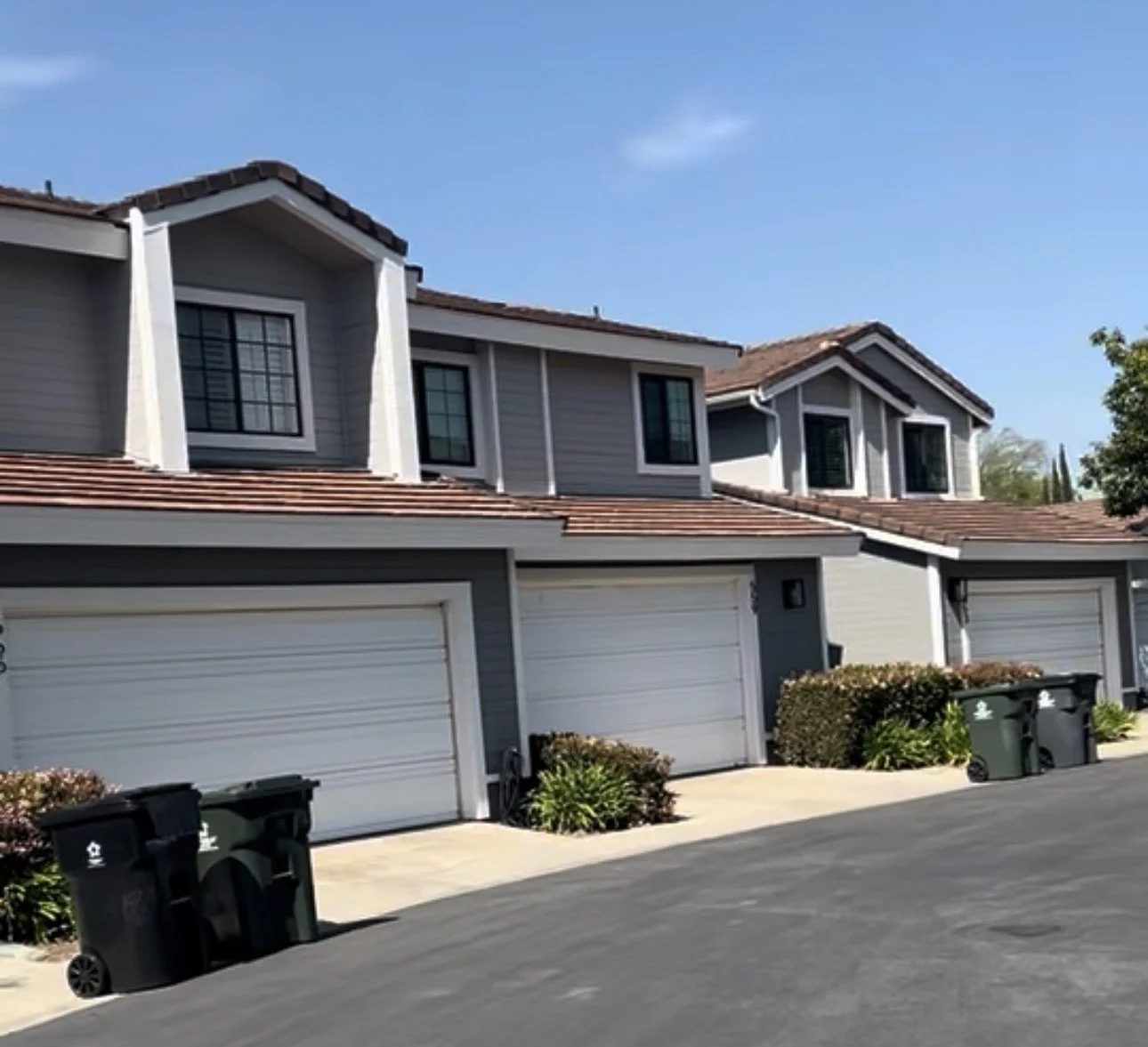 Commercial Painter that specializes in painting Townhome