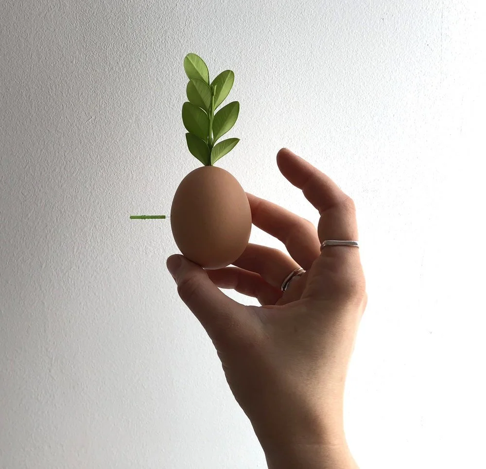 Fertility