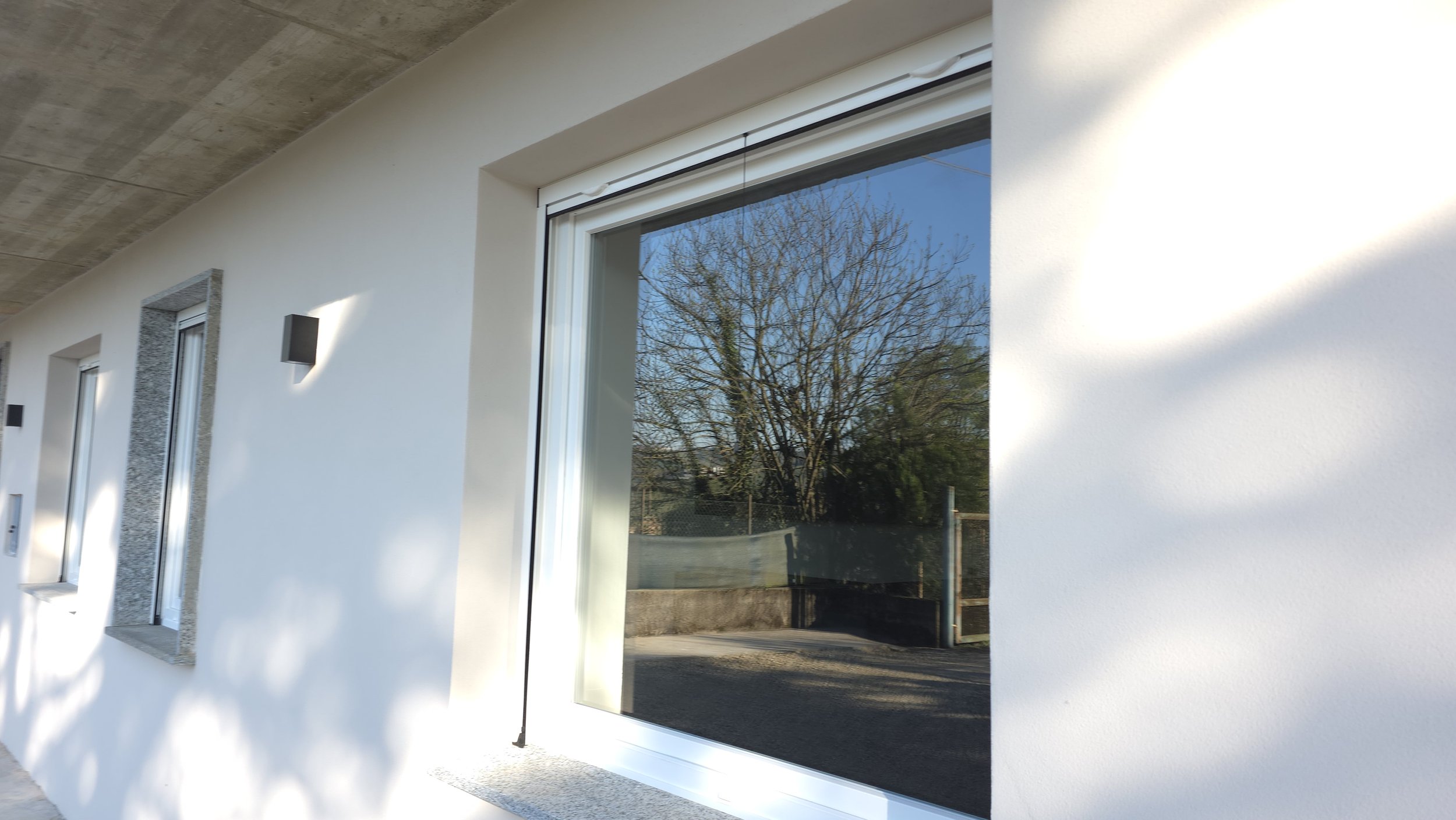 Finestra di una casa moderna con pareti bianche e vista su un albero senza foglie e un cielo blu.