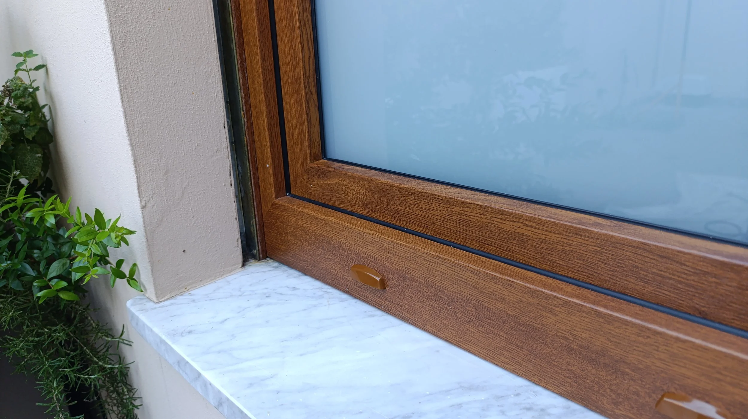 Vista di una finestra con struttura in legno, vetro opaco e davanzale in marmo bianco, con piante verdi a sinistra.
