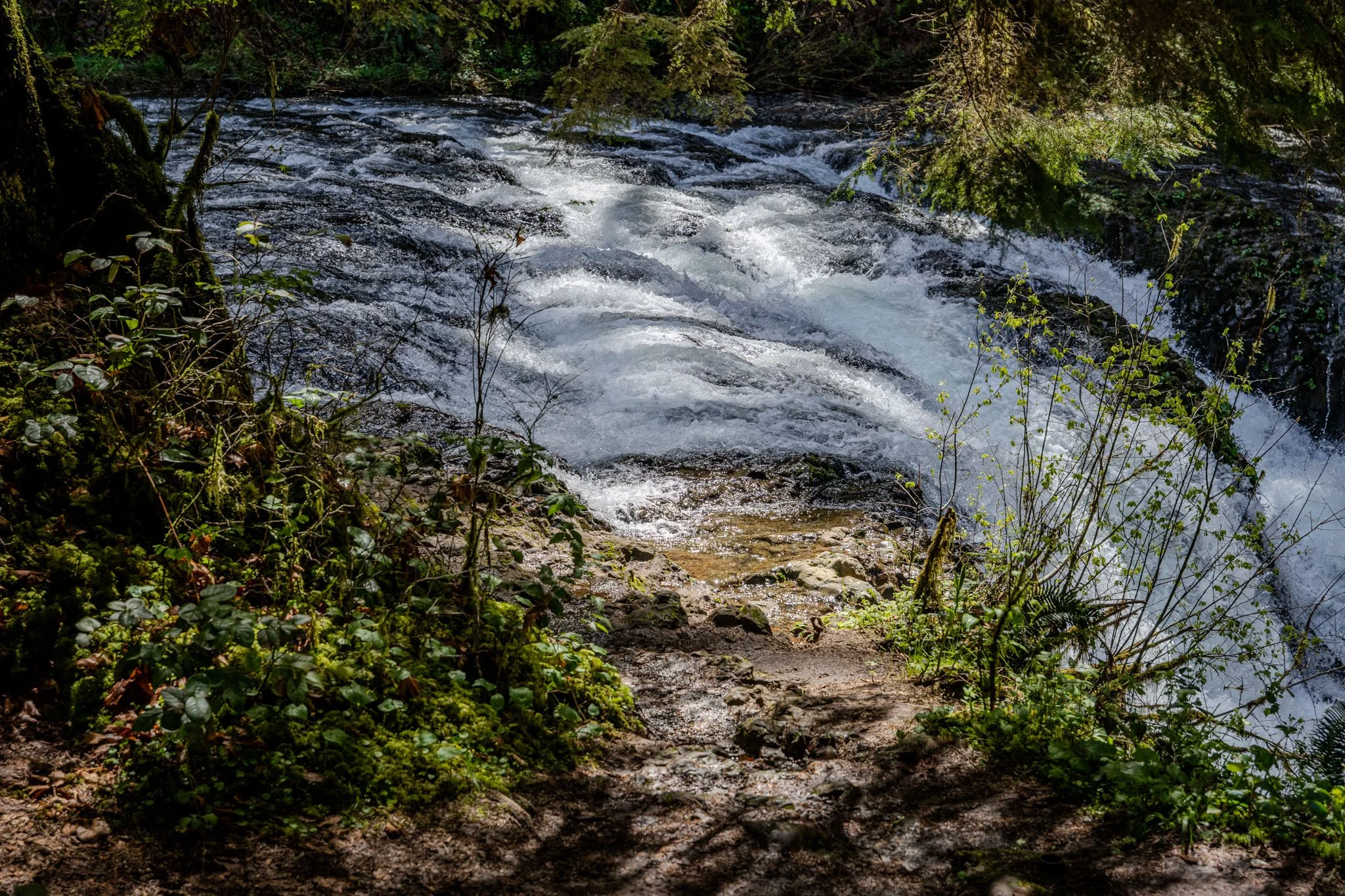 664A3117-HDR.jpg