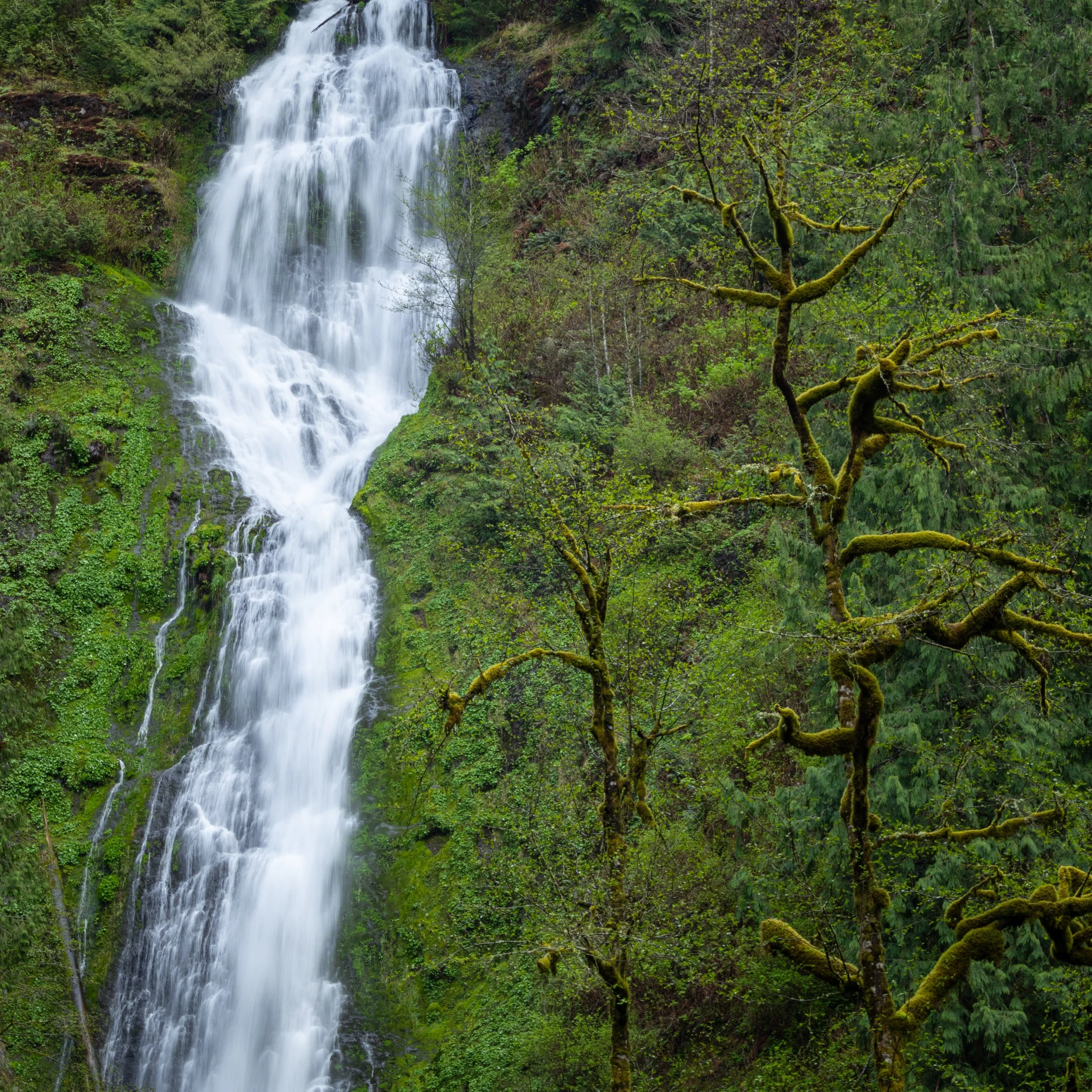 664A2782-Pano-2.jpg