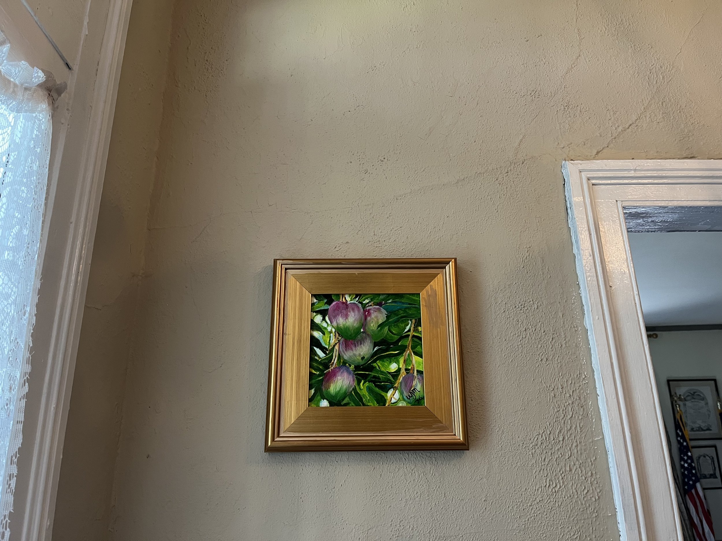 IMG_9926.jpeg