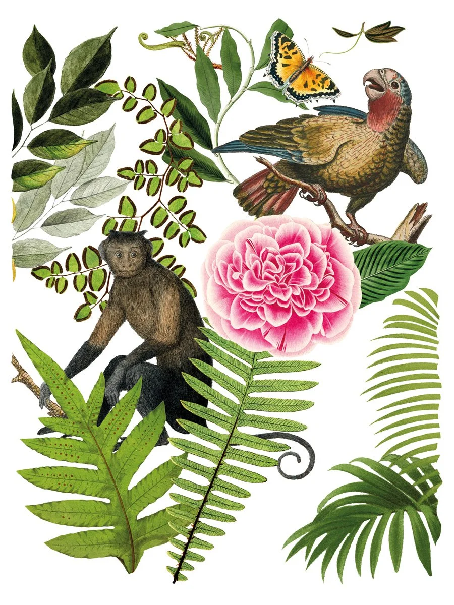 BUNGALOW page 7 small.jpeg