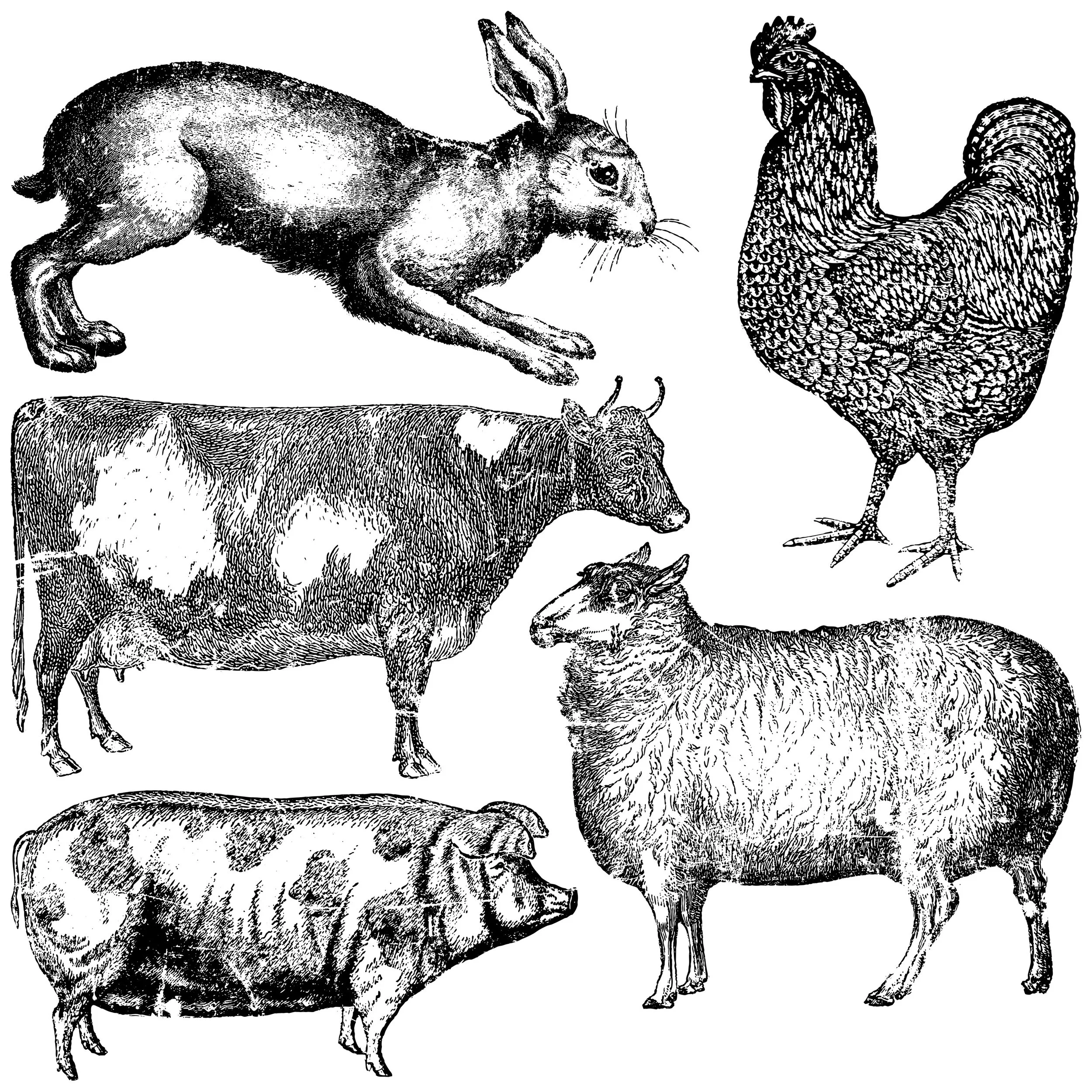 Farm Animals Stamp.jpeg