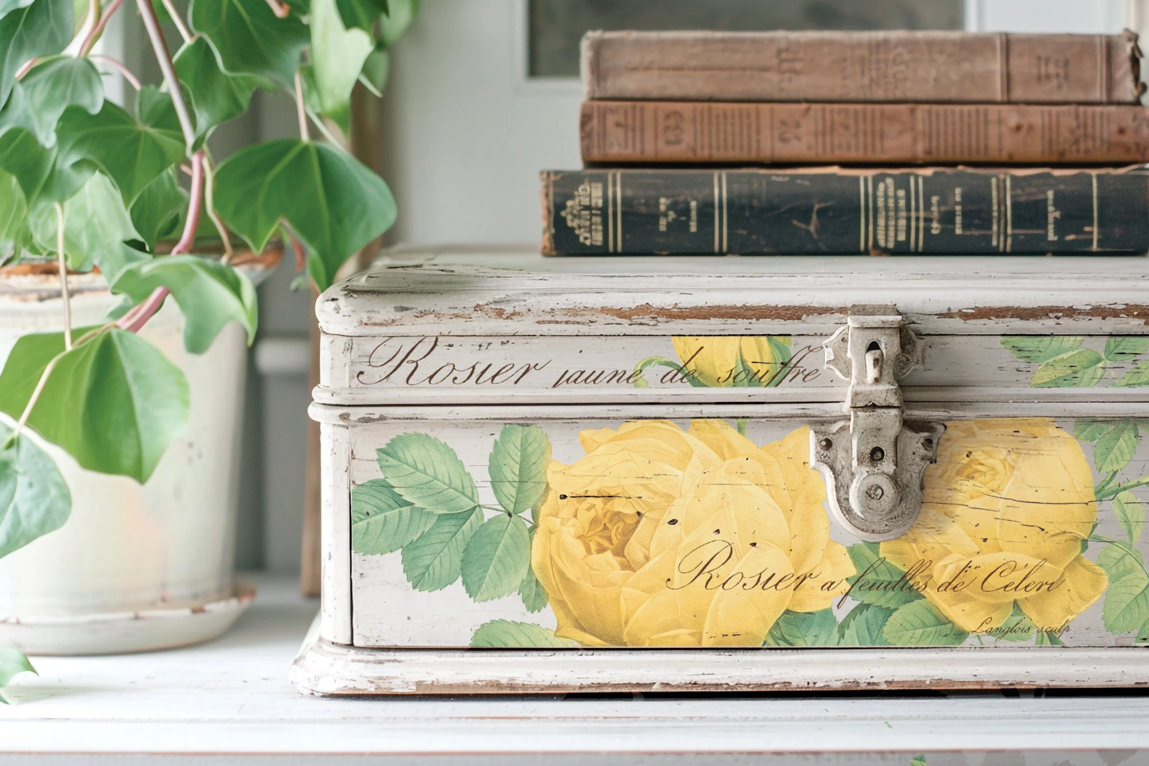 Rose Botanical transfer example.jpeg