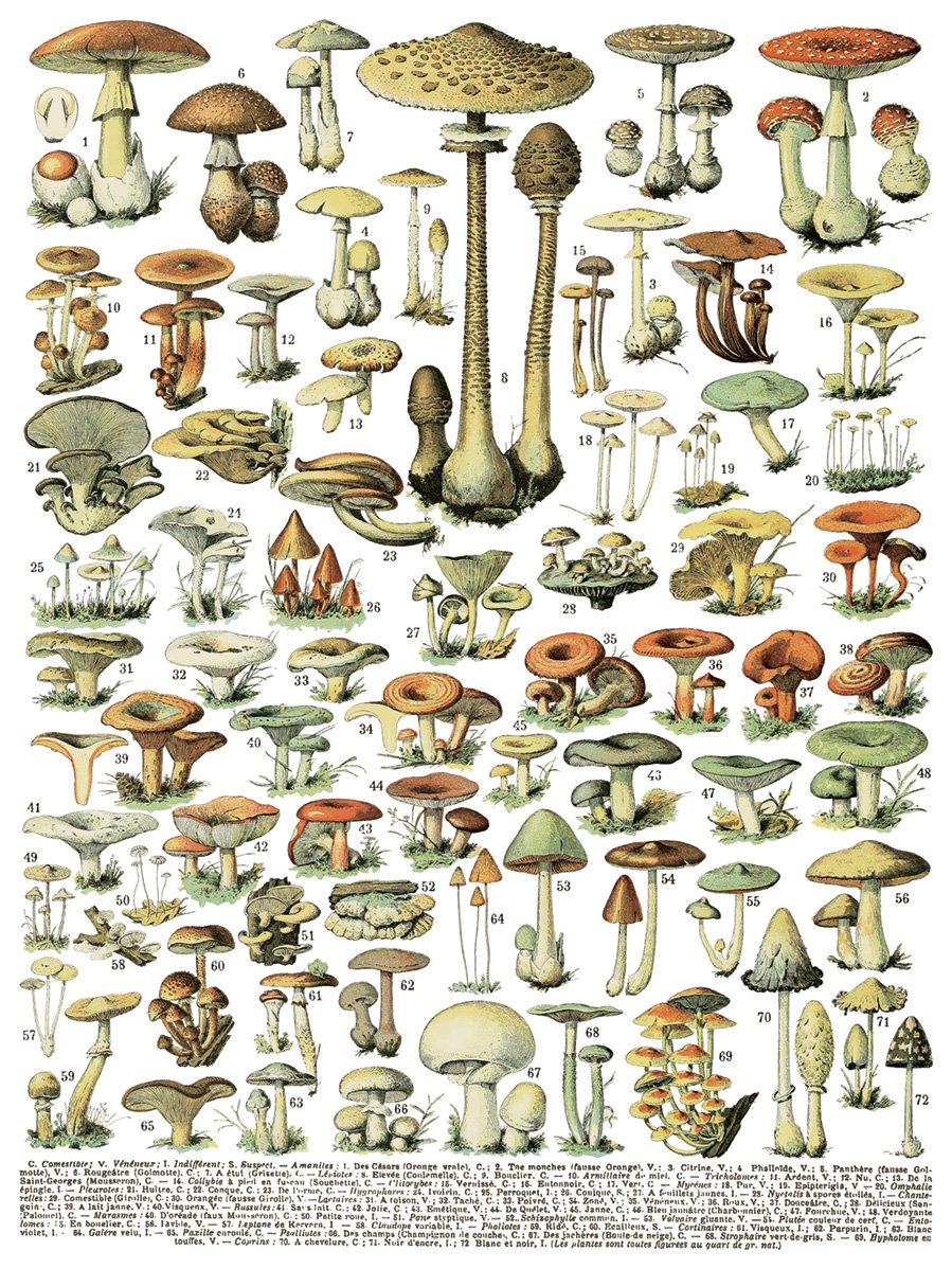 Millots Pages sheet 3.jpeg